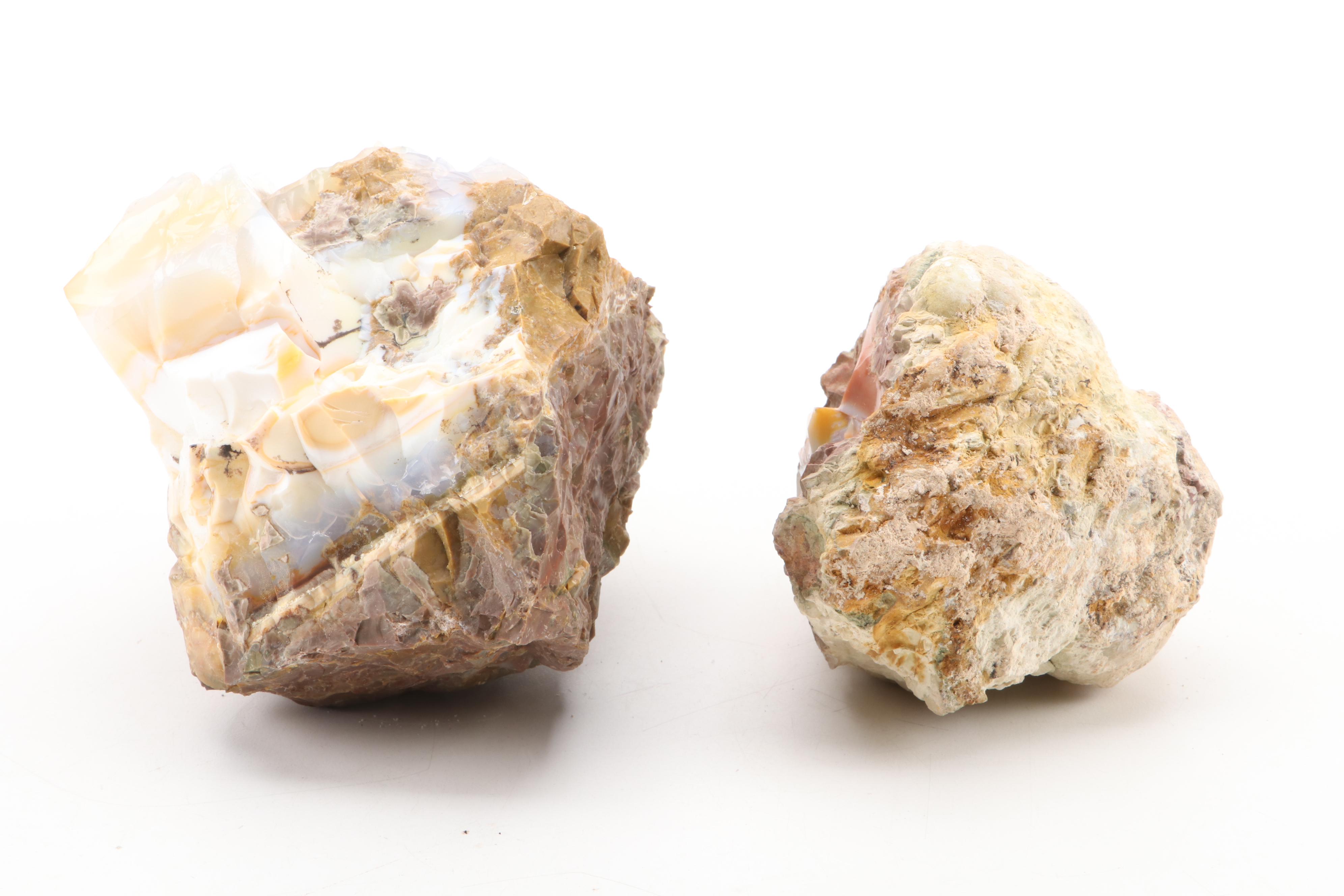 Opalized Agate  Specimens