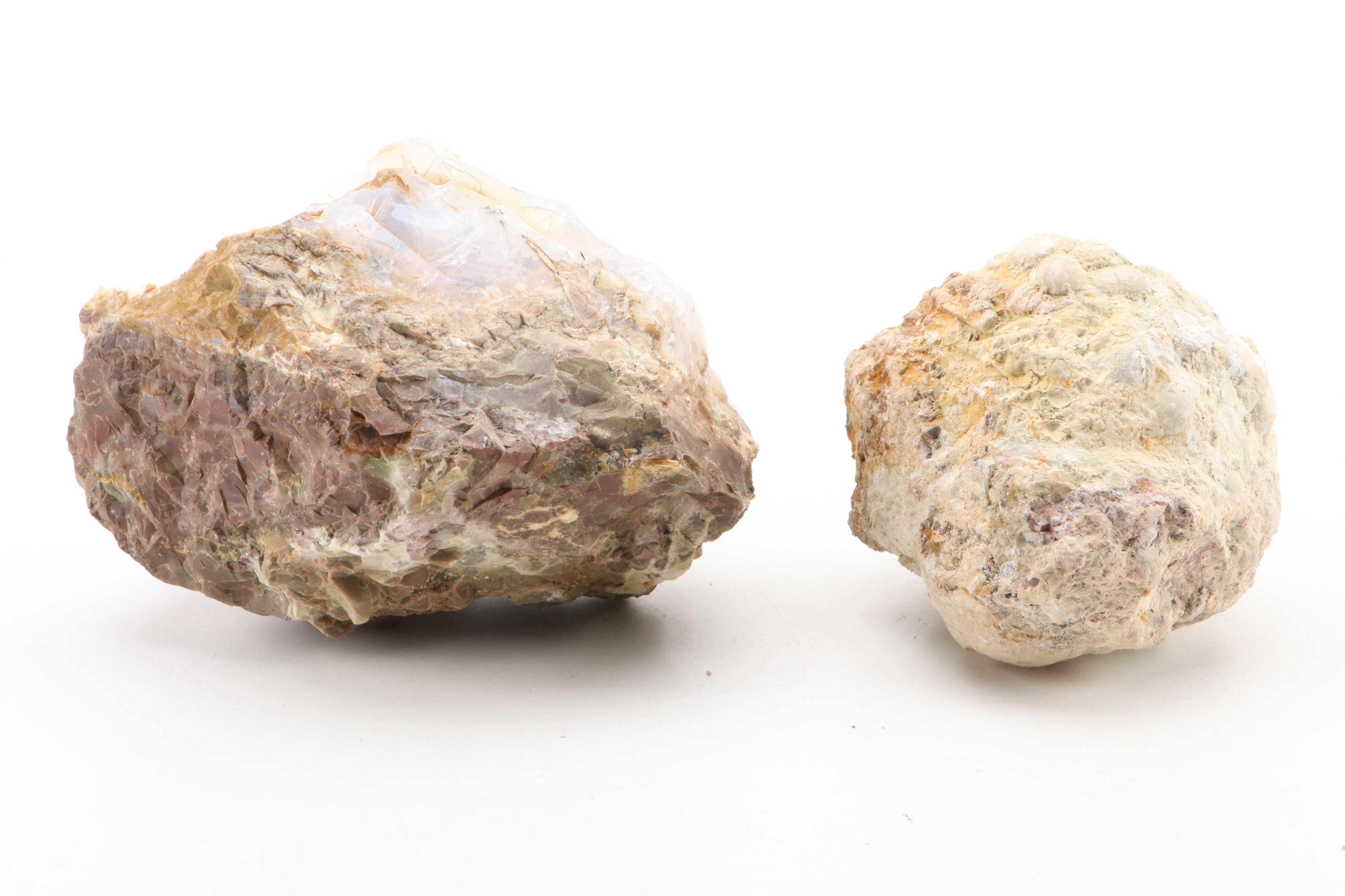 Opalized Agate  Specimens