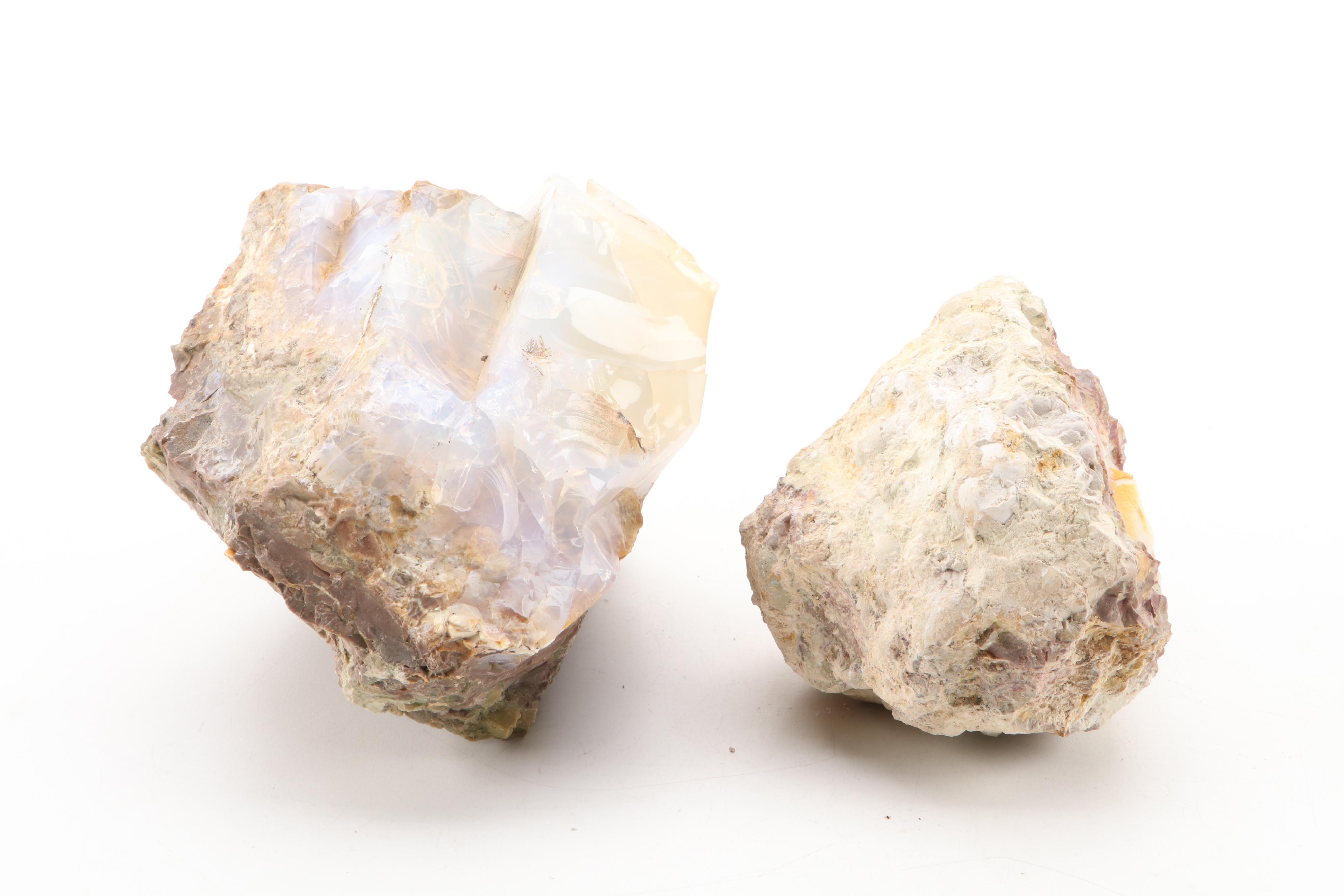 Opalized Agate  Specimens