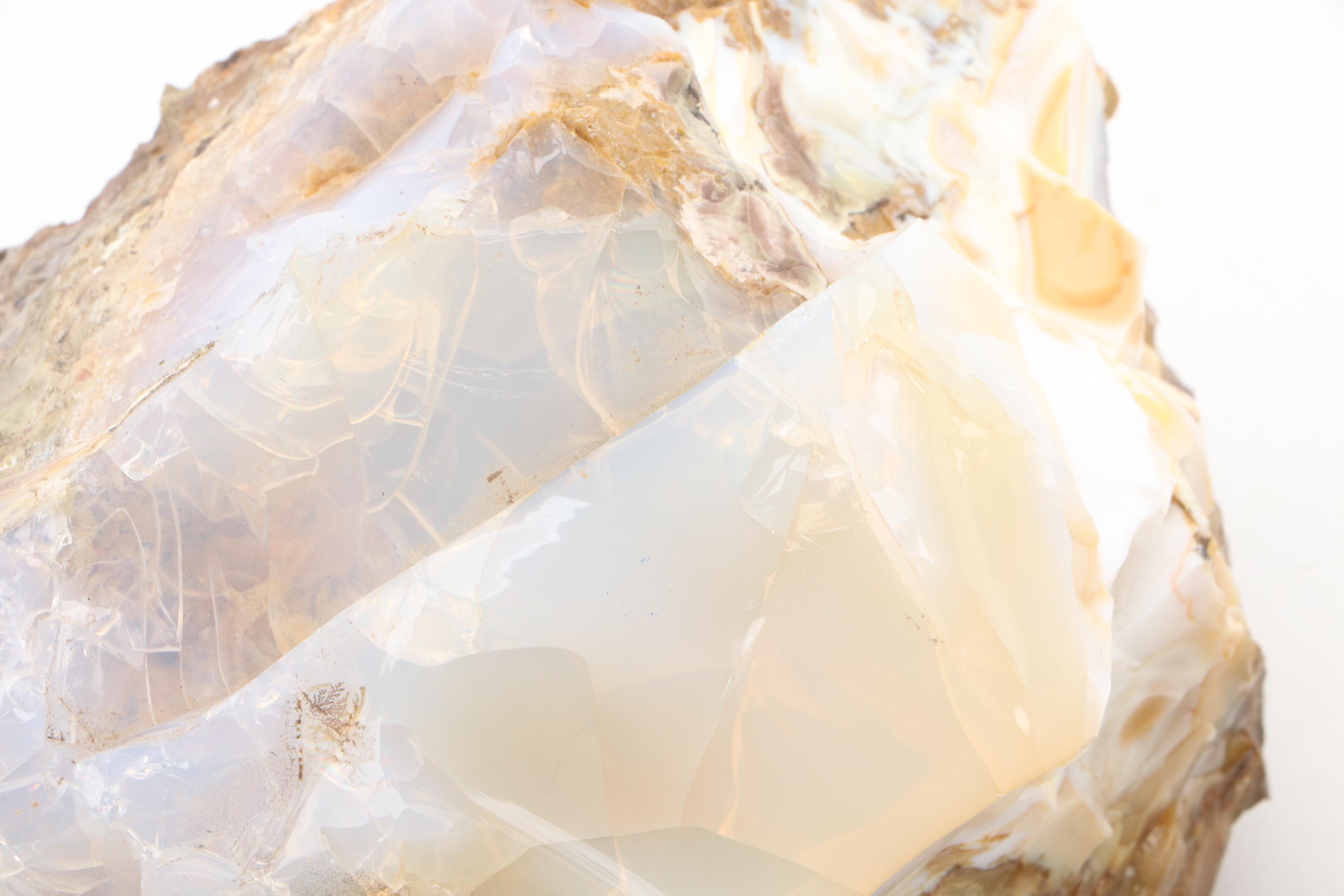 Opalized Agate  Specimens