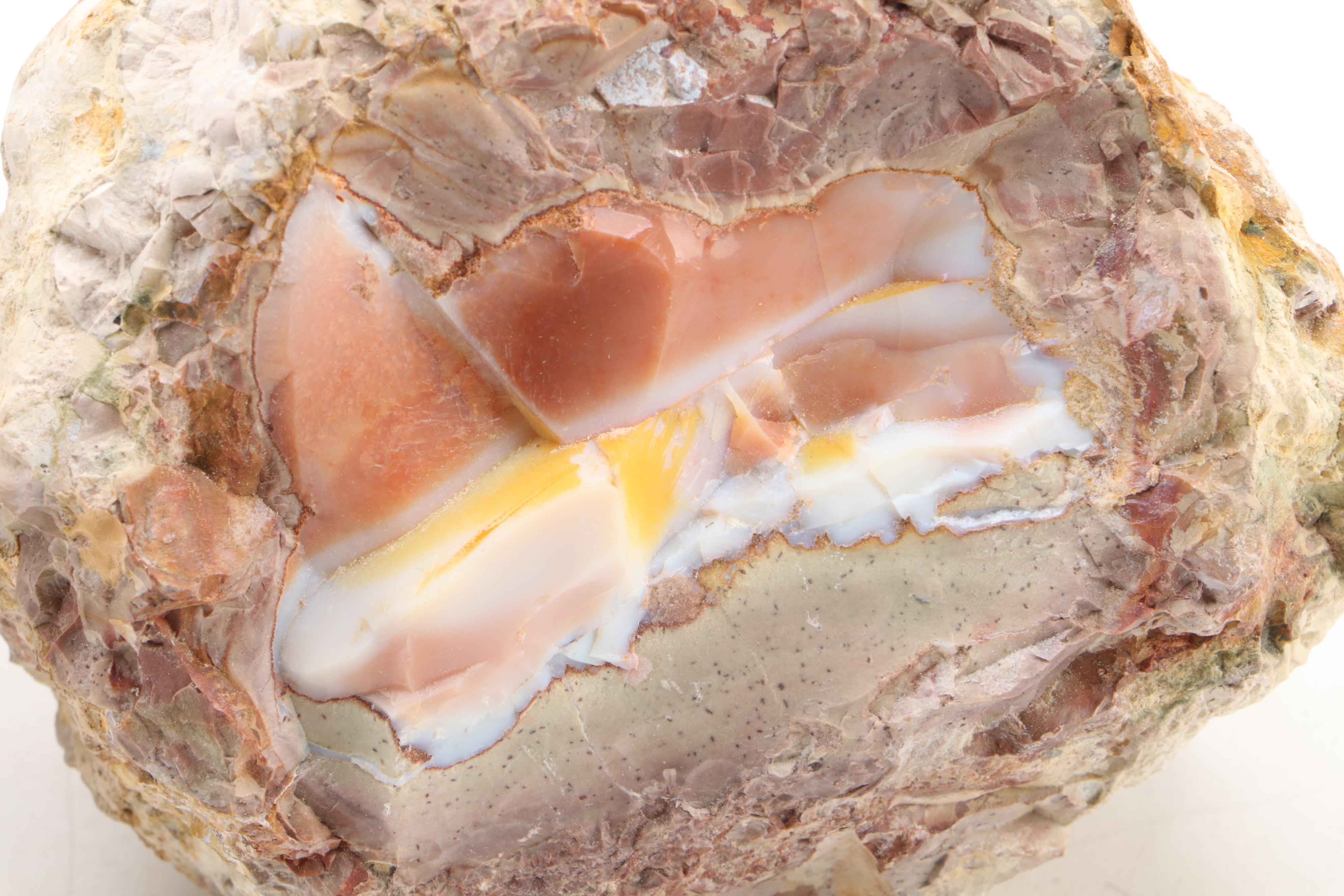 Opalized Agate  Specimens