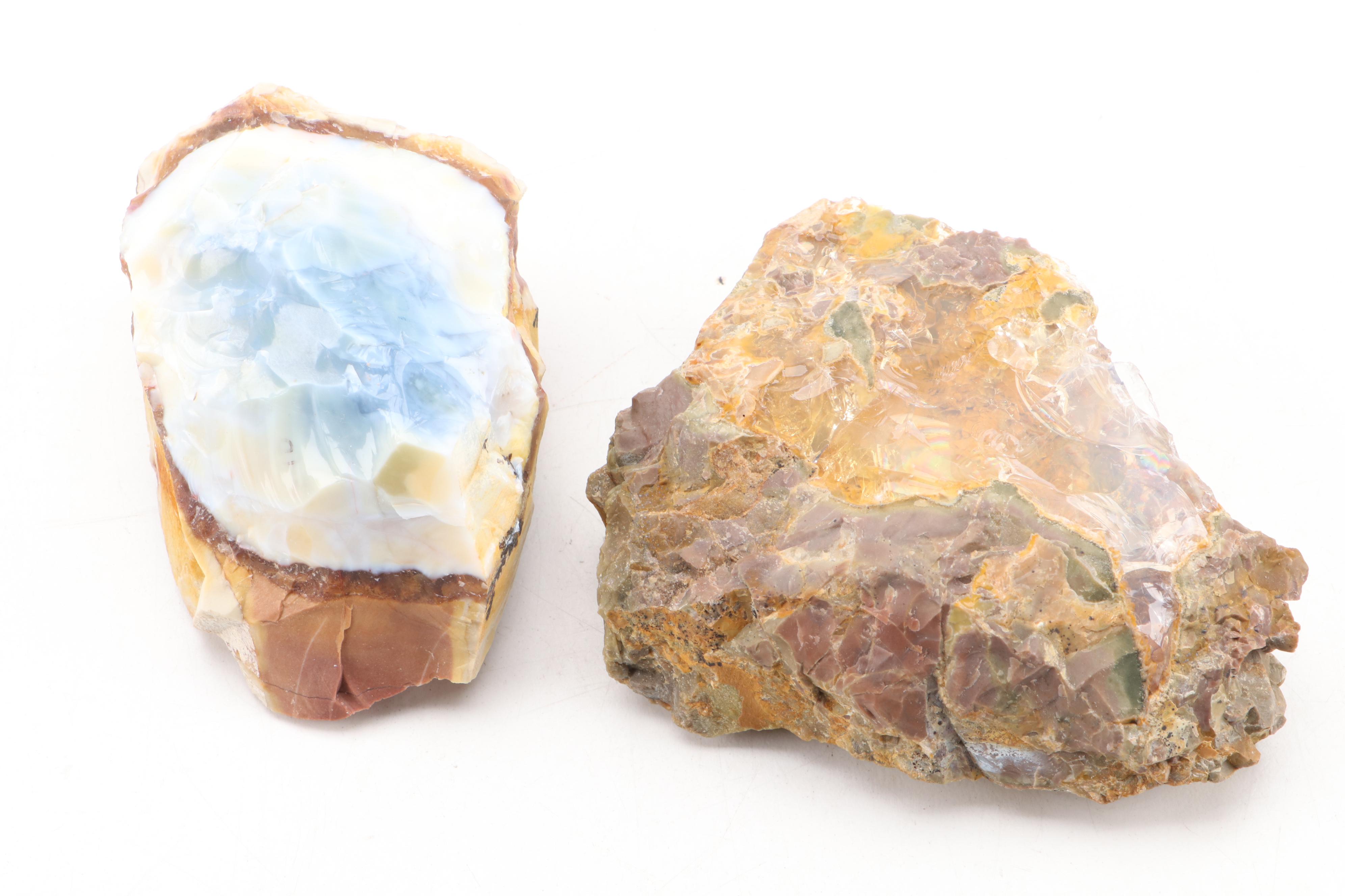 Opalized Agate  Specimens