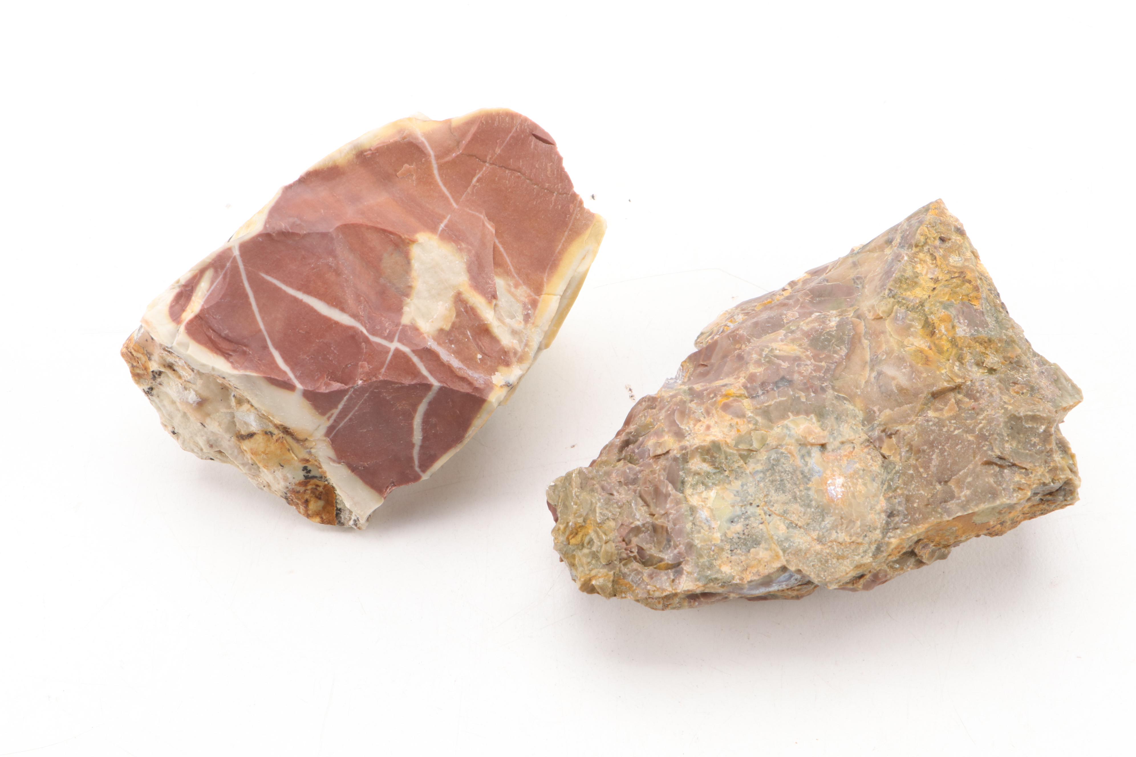 Opalized Agate  Specimens