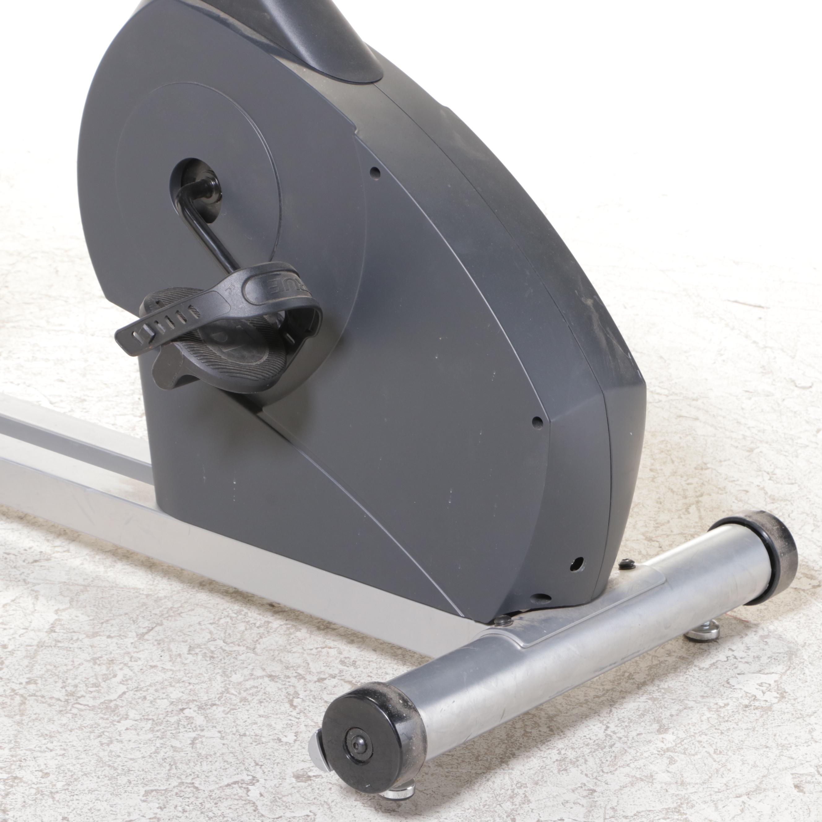 True Fitness Stationary Recumbent Exercise Bicycle