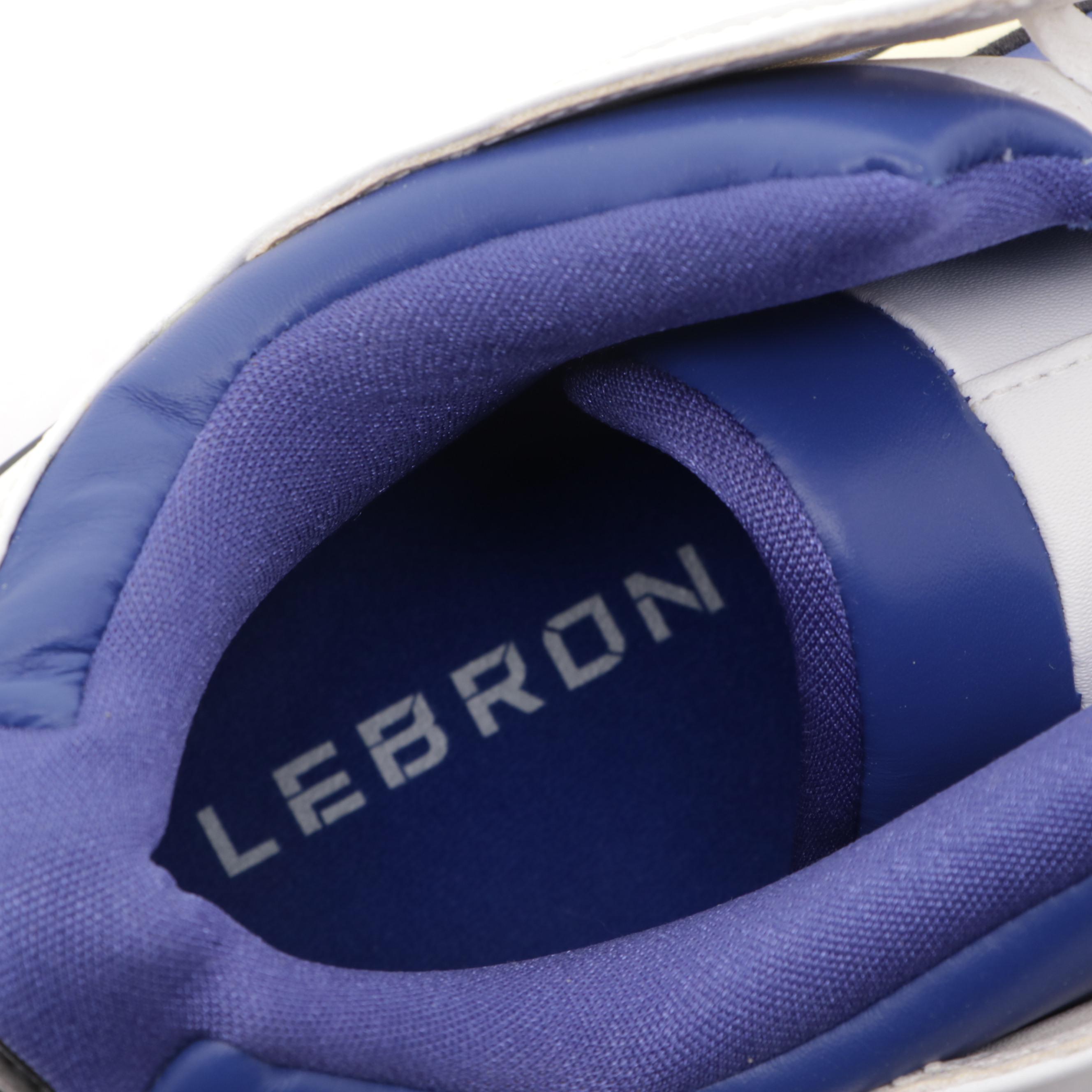 2005 LeBron James Endorsed Nike Air Generation Basketball Shoes in Original Box