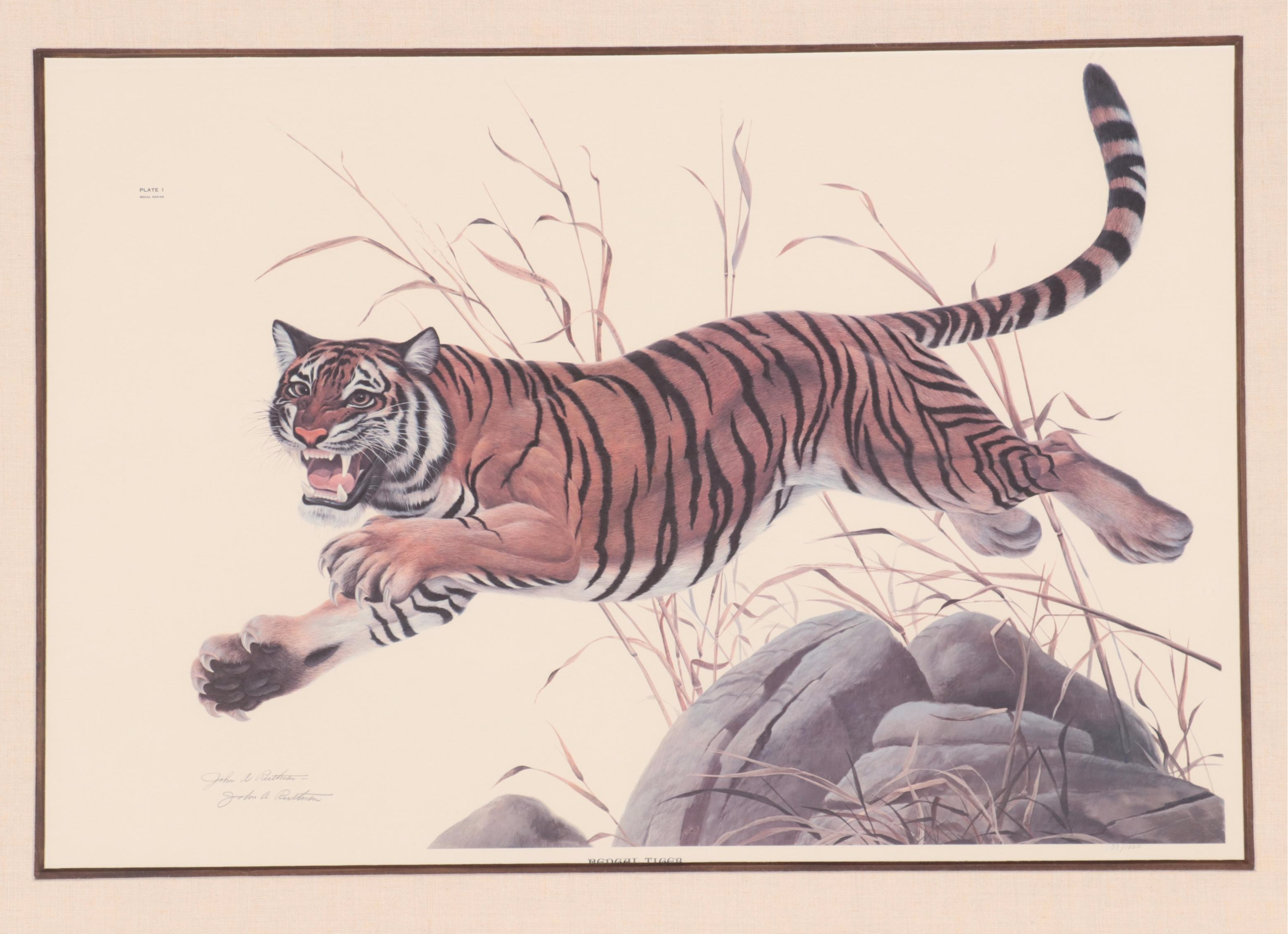 John A. Ruthven Offset Lithograph "Bengal Tiger"