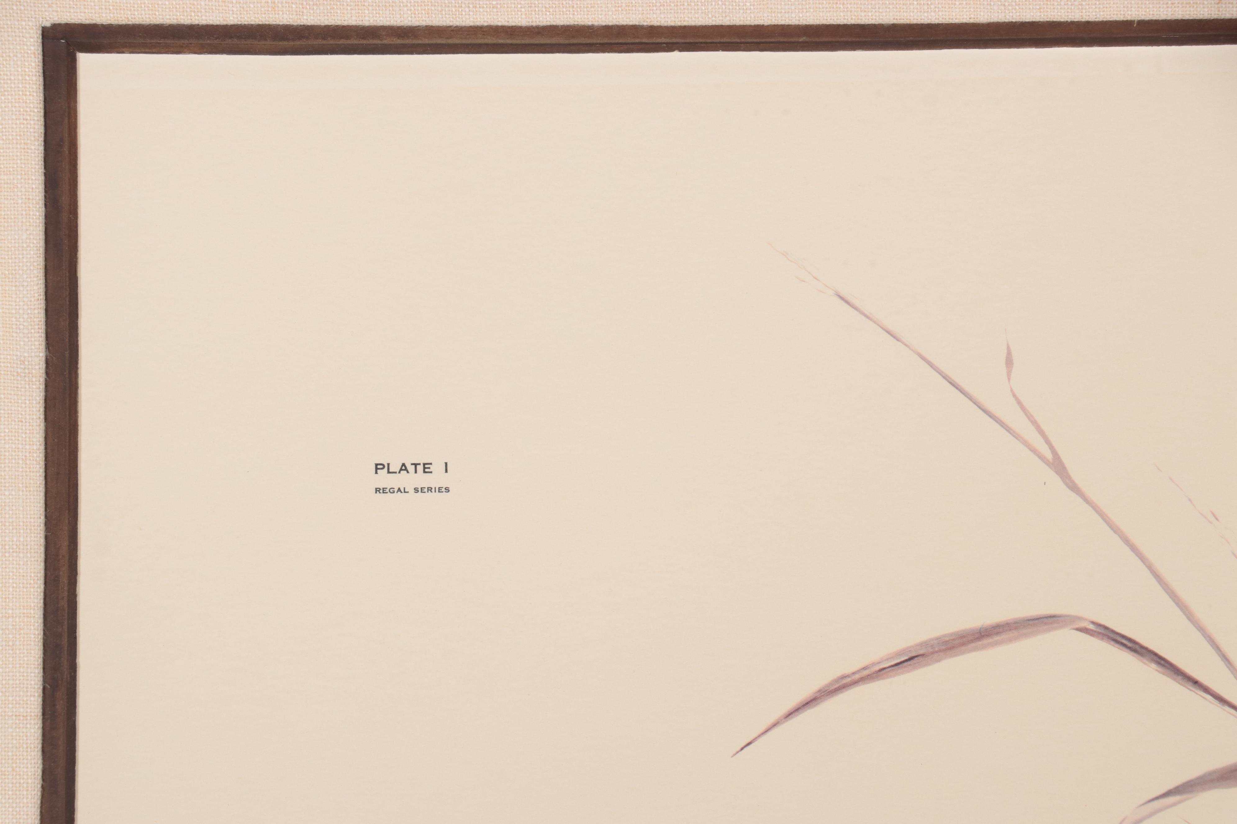 John A. Ruthven Offset Lithograph "Bengal Tiger"