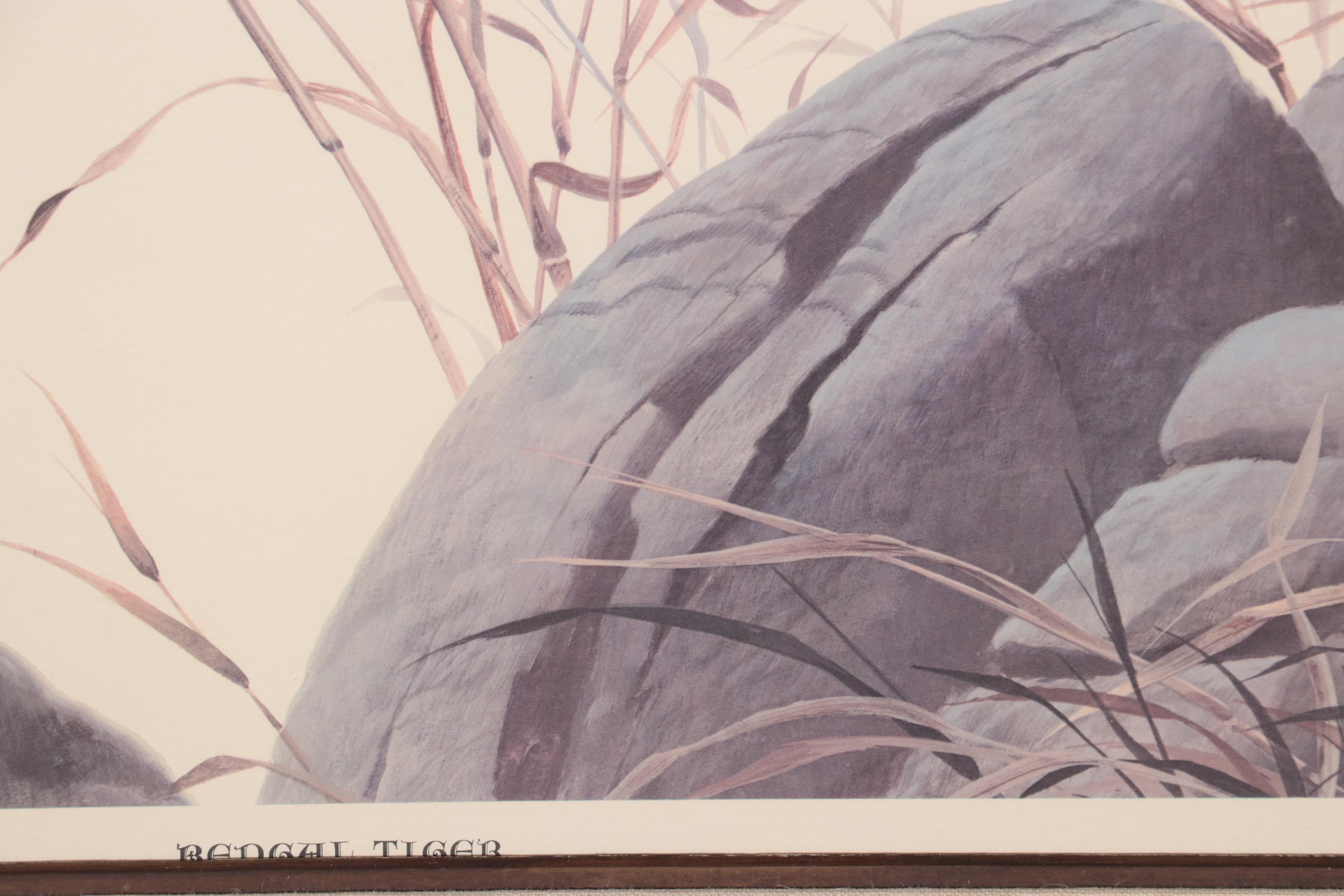 John A. Ruthven Offset Lithograph "Bengal Tiger"