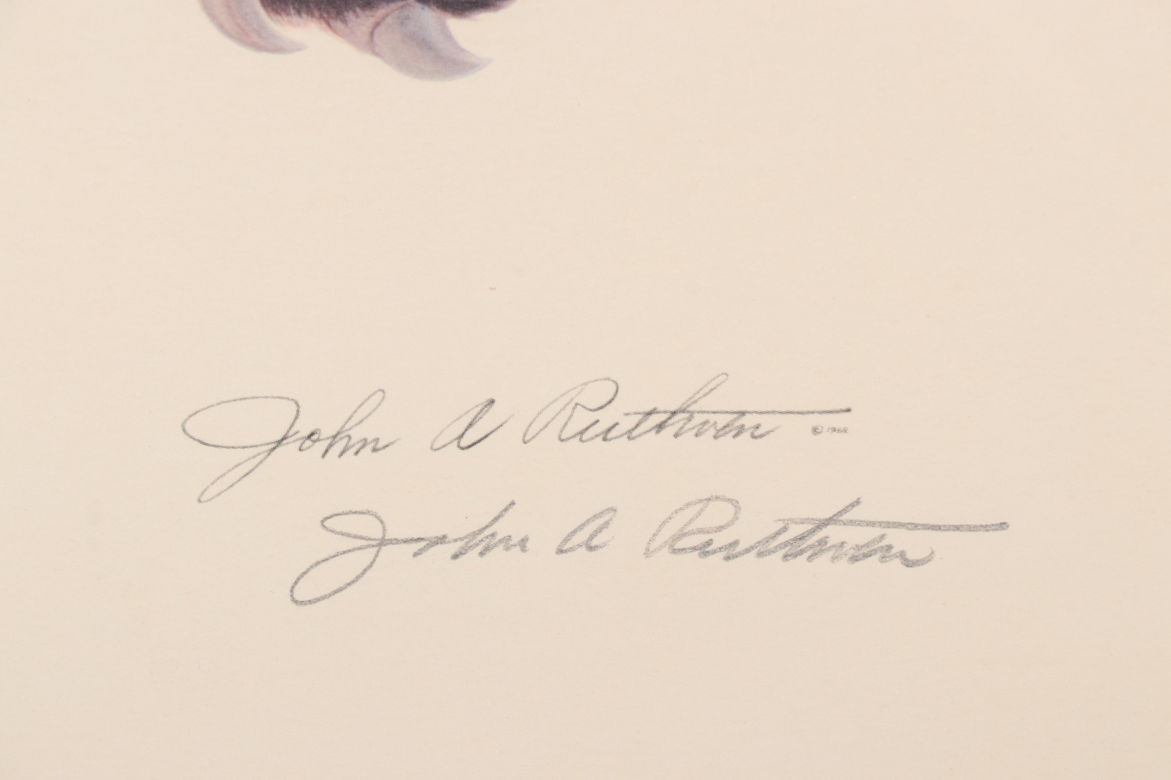 John A. Ruthven Offset Lithograph "Bengal Tiger"