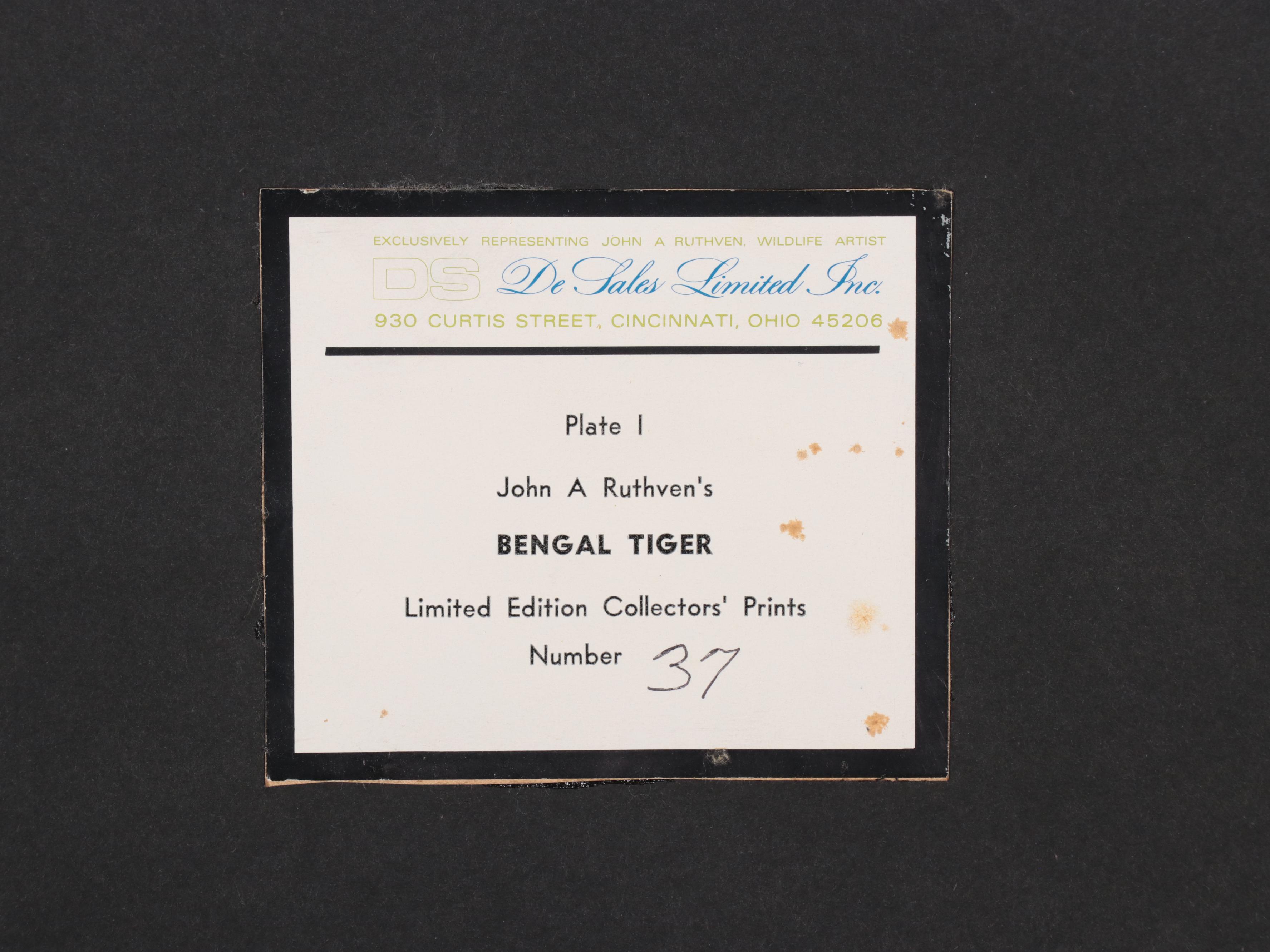 John A. Ruthven Offset Lithograph "Bengal Tiger"