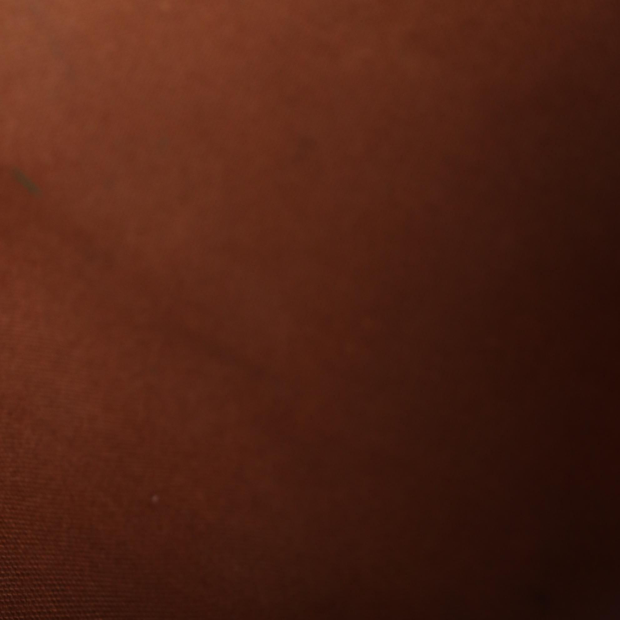 Louis Vuitton Speedy 30 in Monogram Canvas and Vachetta Leather