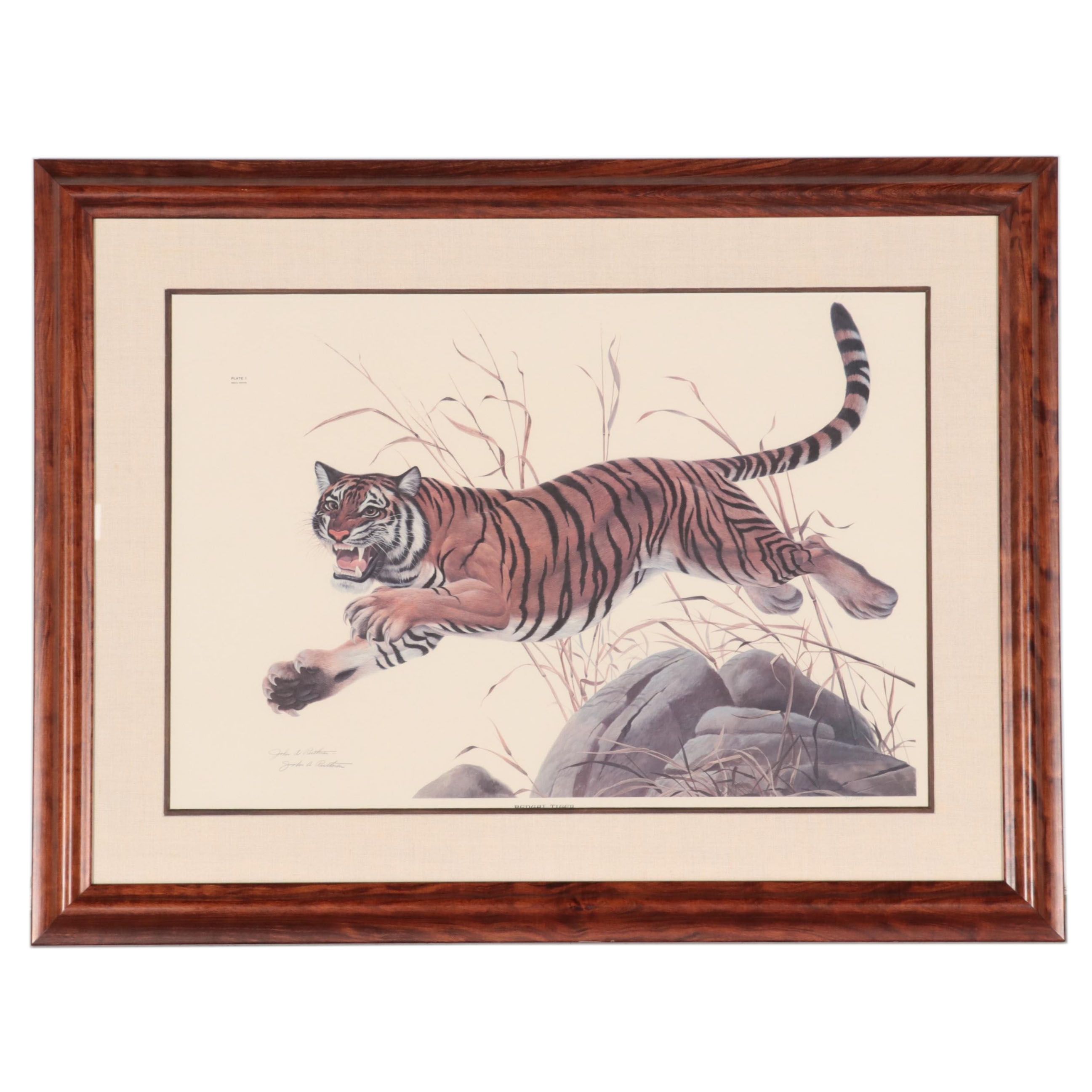 John A. Ruthven Offset Lithograph "Bengal Tiger"