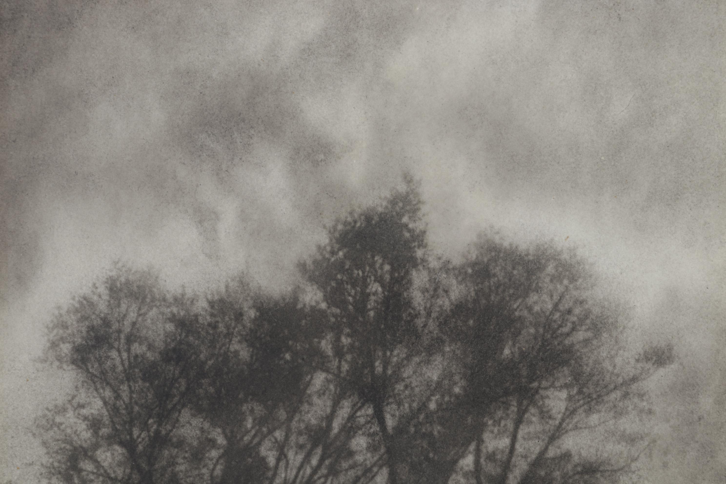 P. Pastor Landscape Photogravure "Dramatic," Early 20th Century