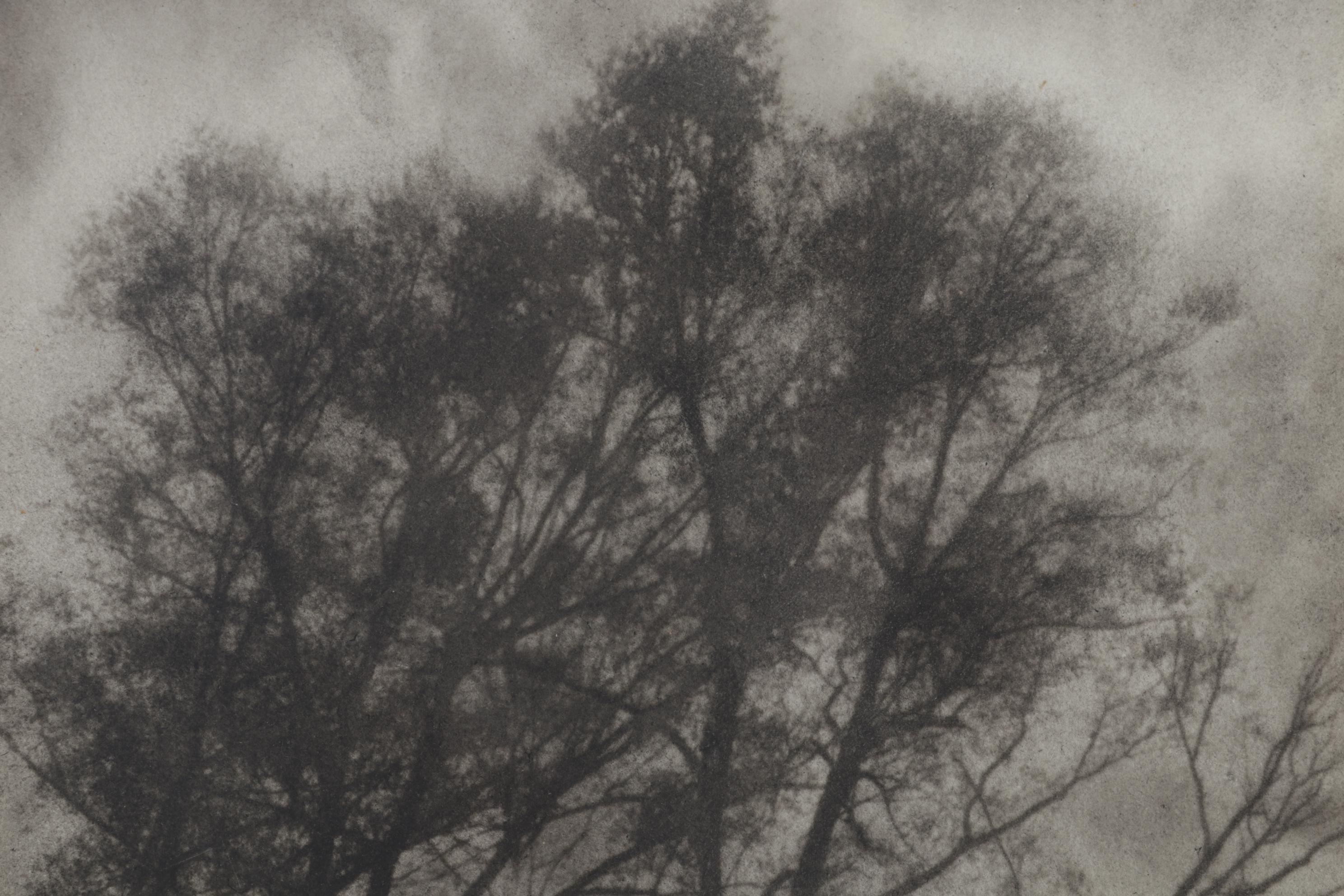 P. Pastor Landscape Photogravure "Dramatic," Early 20th Century