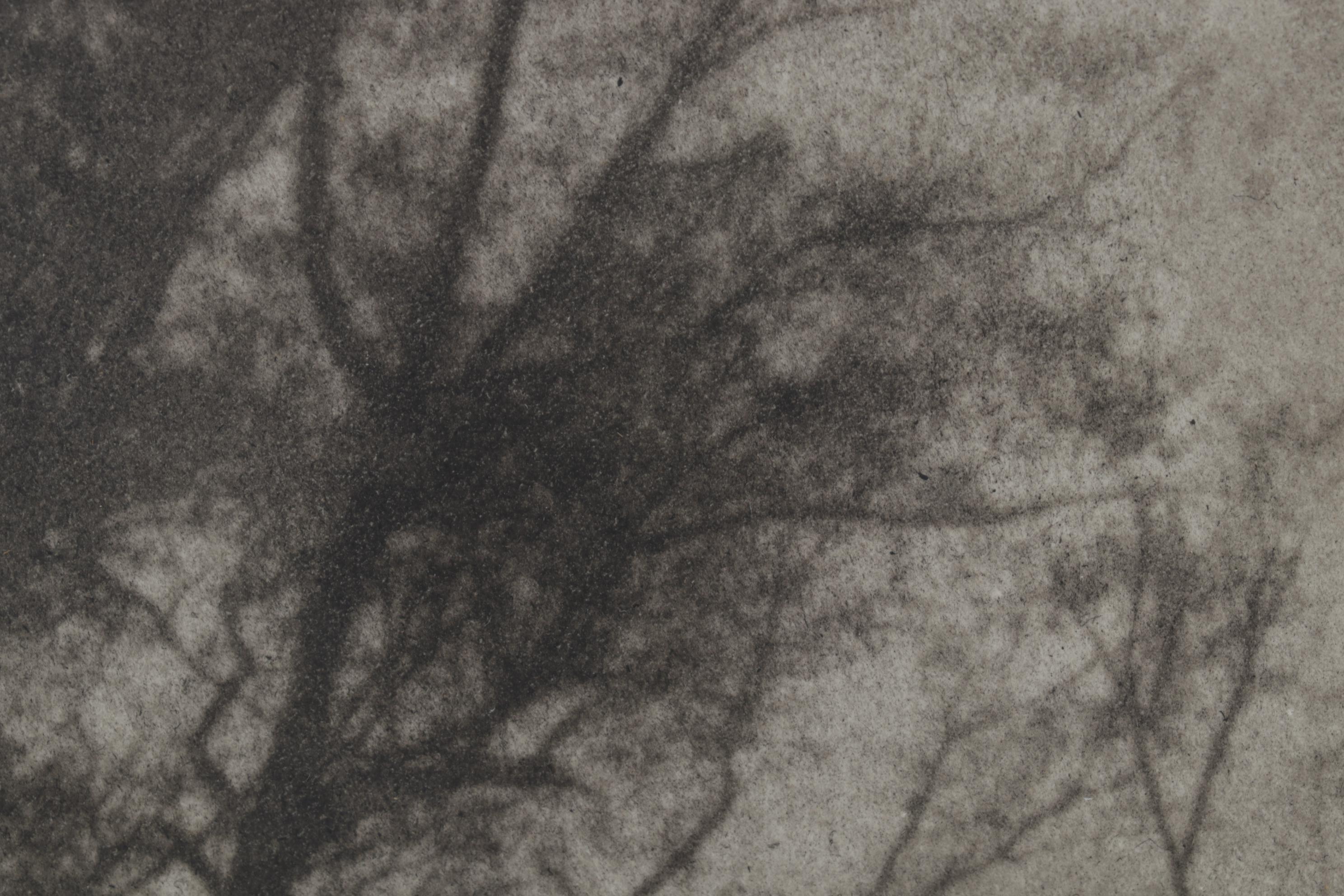 P. Pastor Landscape Photogravure "Dramatic," Early 20th Century