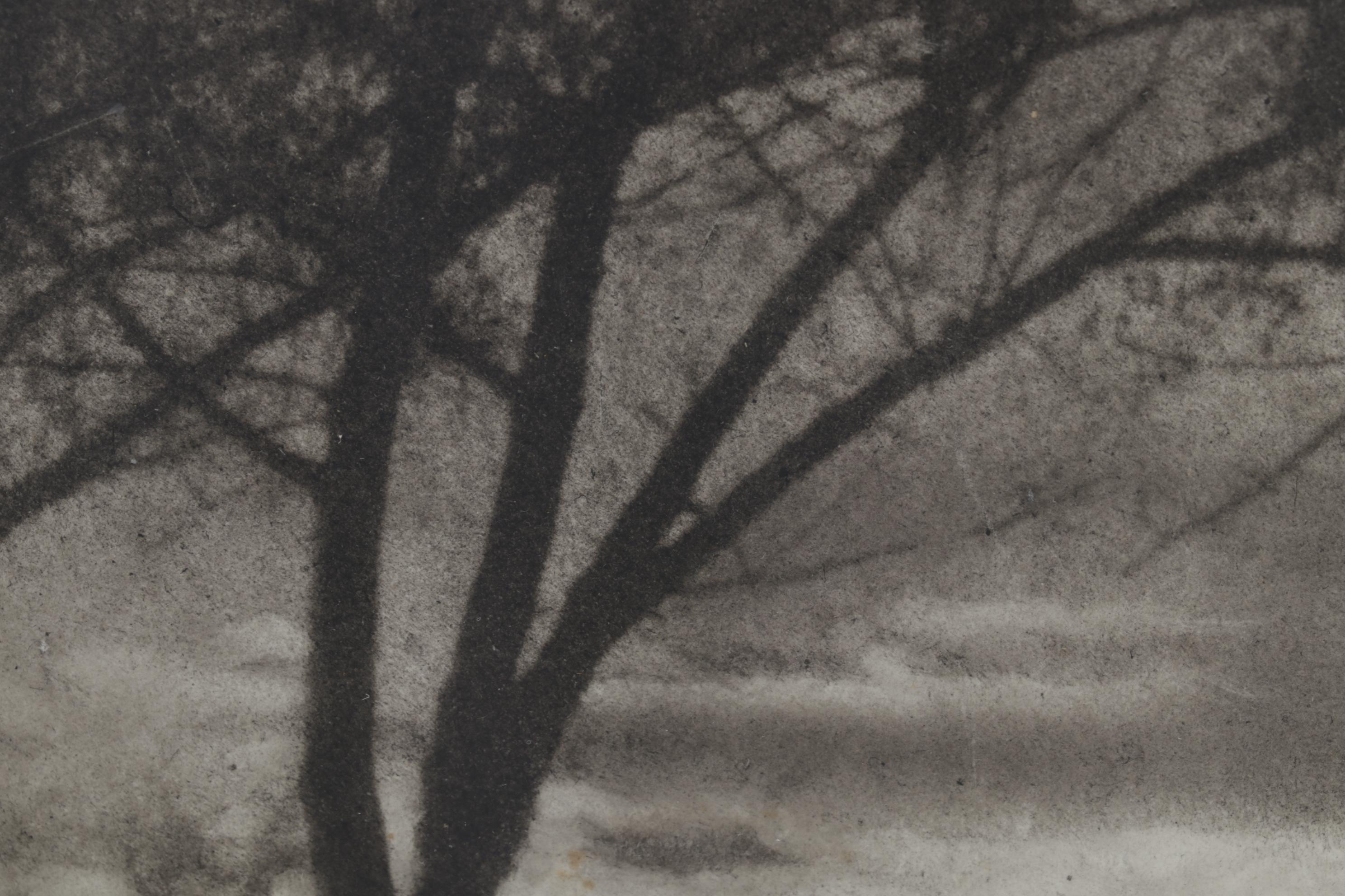 P. Pastor Landscape Photogravure "Dramatic," Early 20th Century