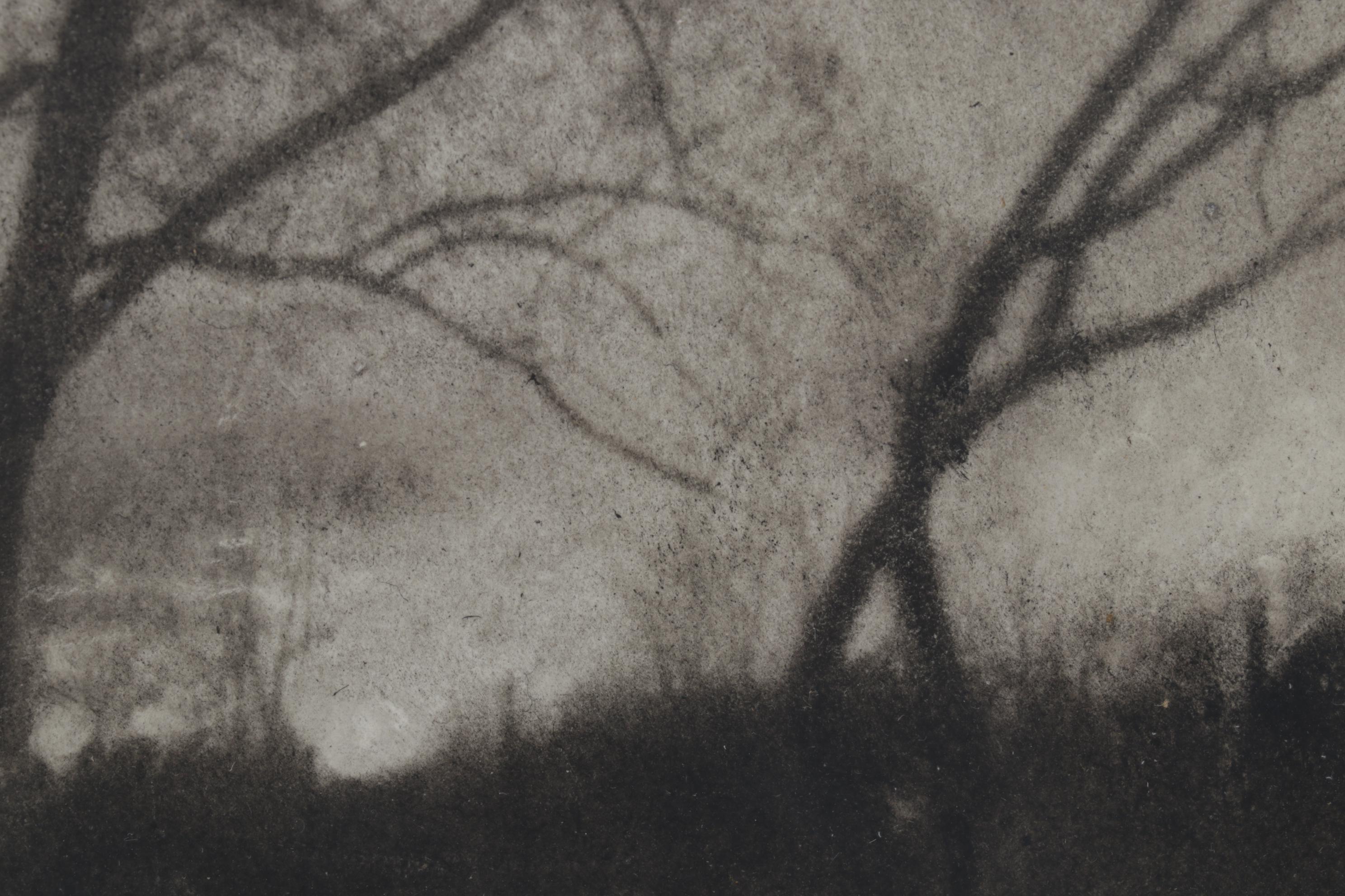 P. Pastor Landscape Photogravure "Dramatic," Early 20th Century