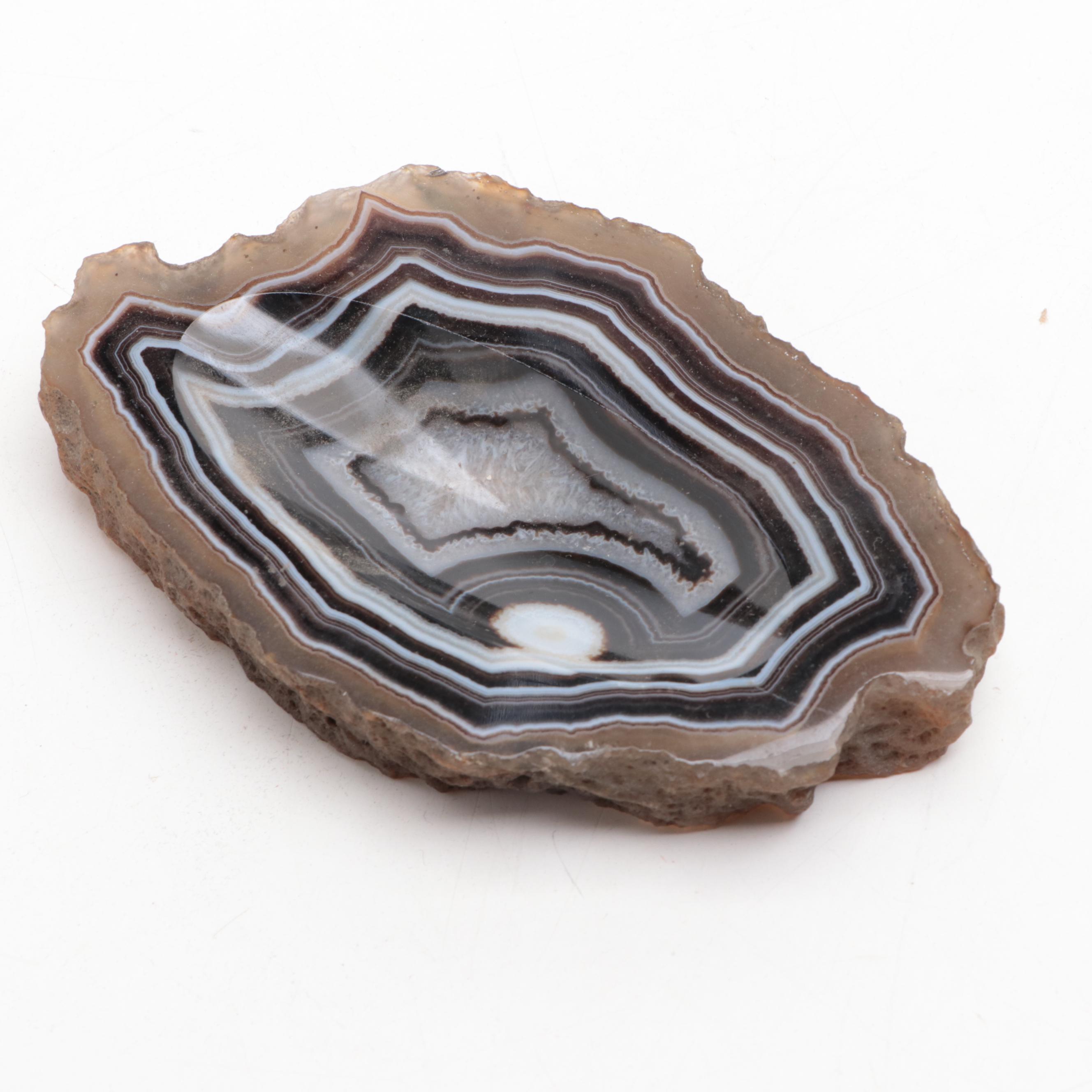 Brazilian and Other Partially Polished and Dyed Agate Specimens