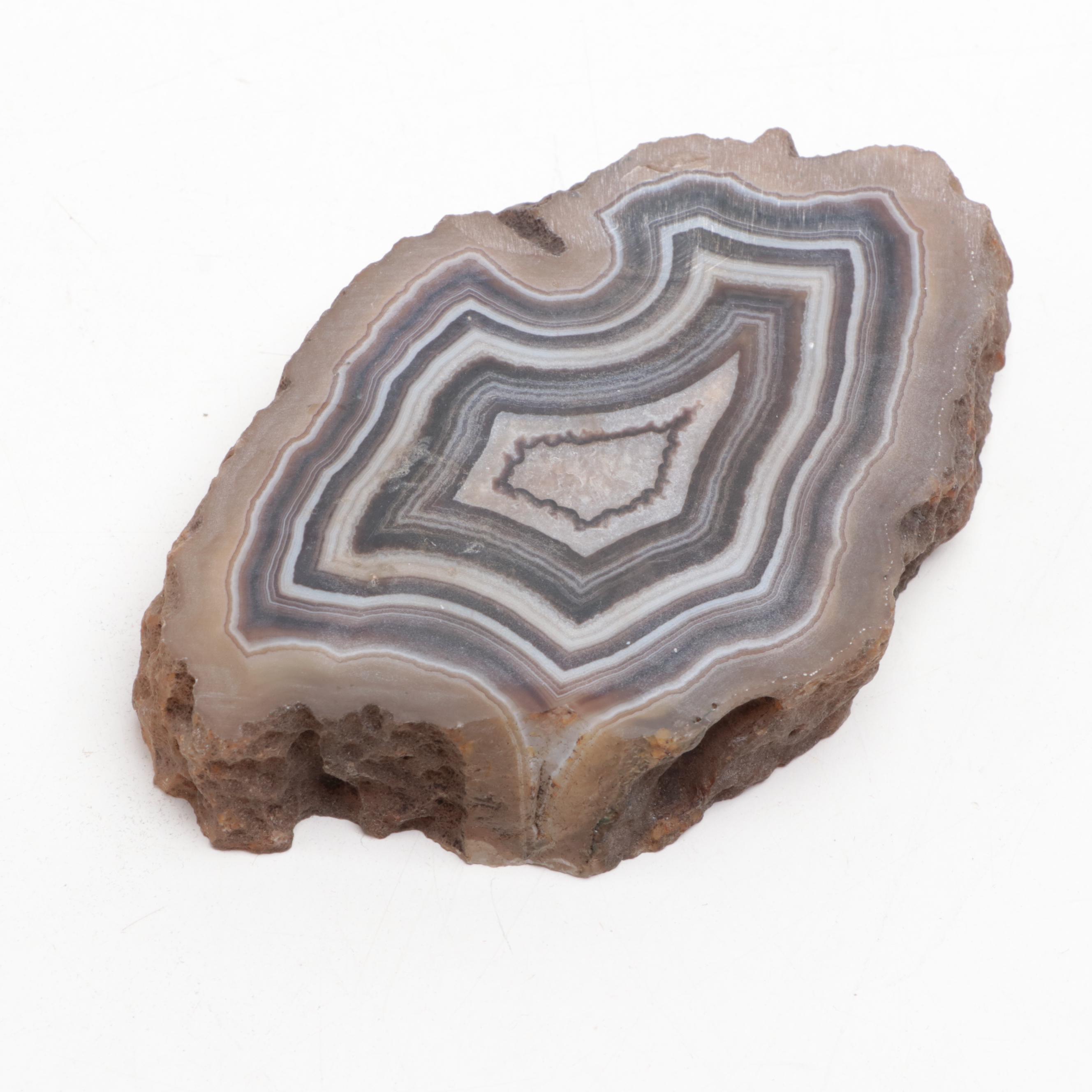 Brazilian and Other Partially Polished and Dyed Agate Specimens