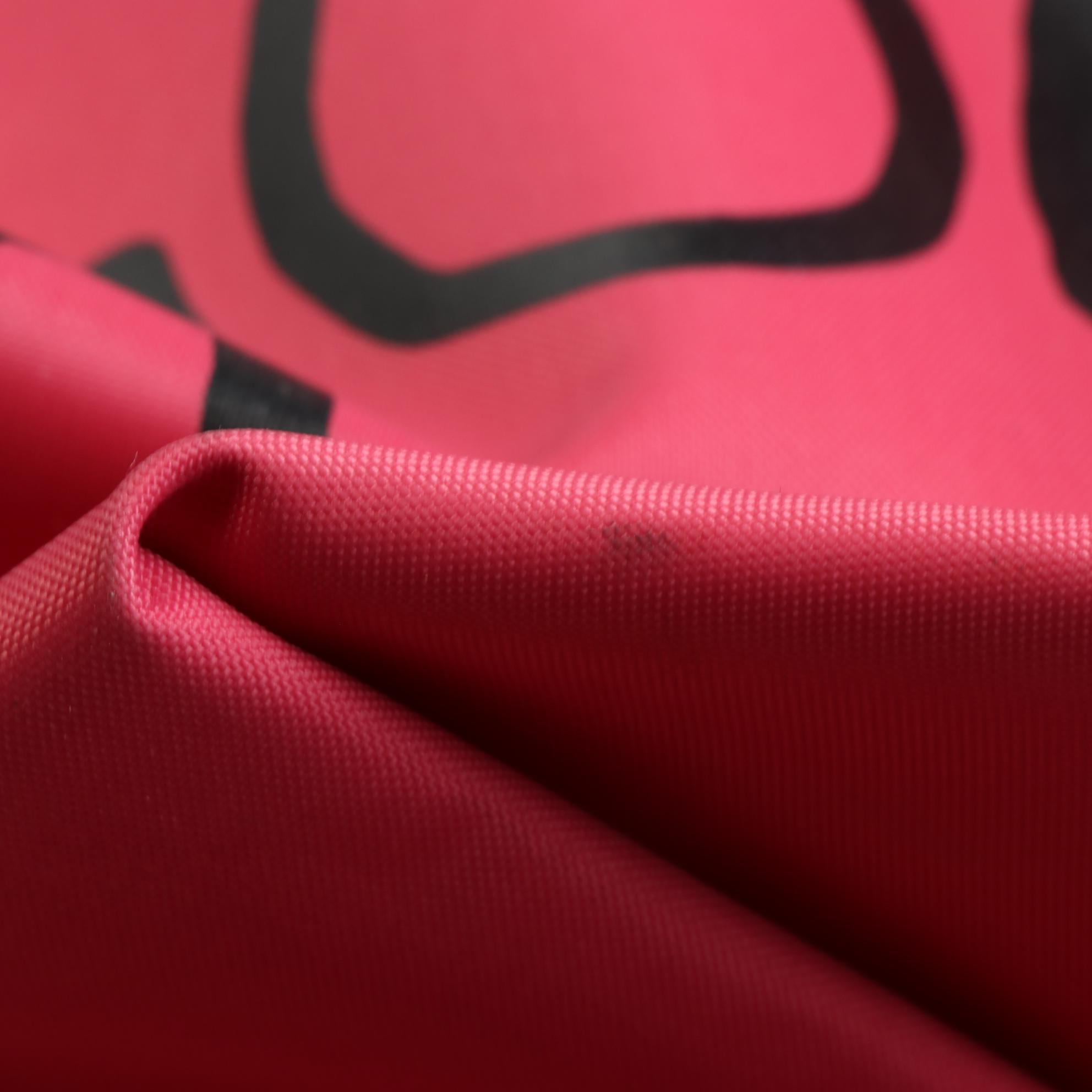 Longchamp Le Pliage Neo Miaou Cat Large Tote in Nylon and Leather