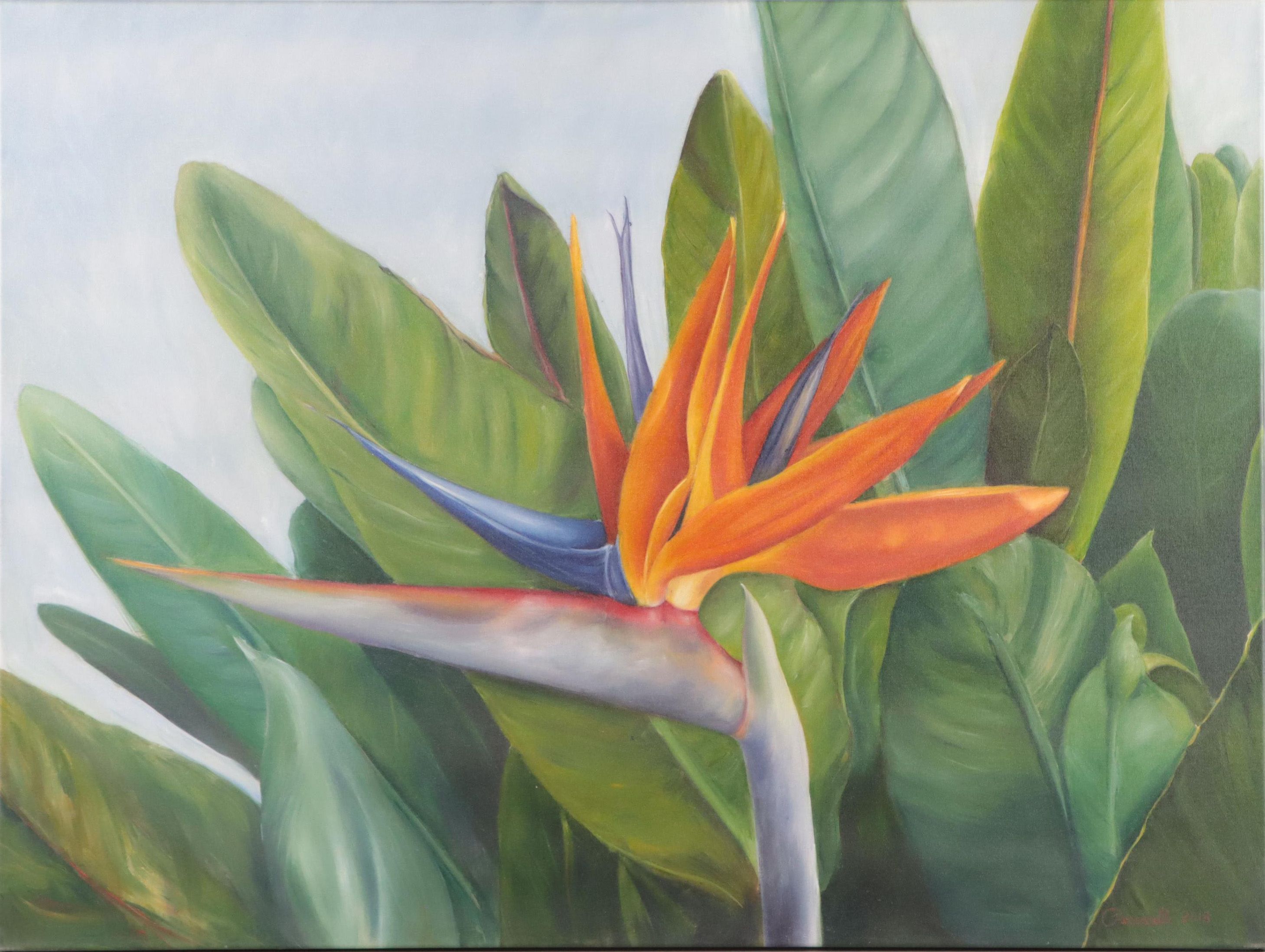 Jane Peccarelli Oil Painting "Bird of Paradise," 2018