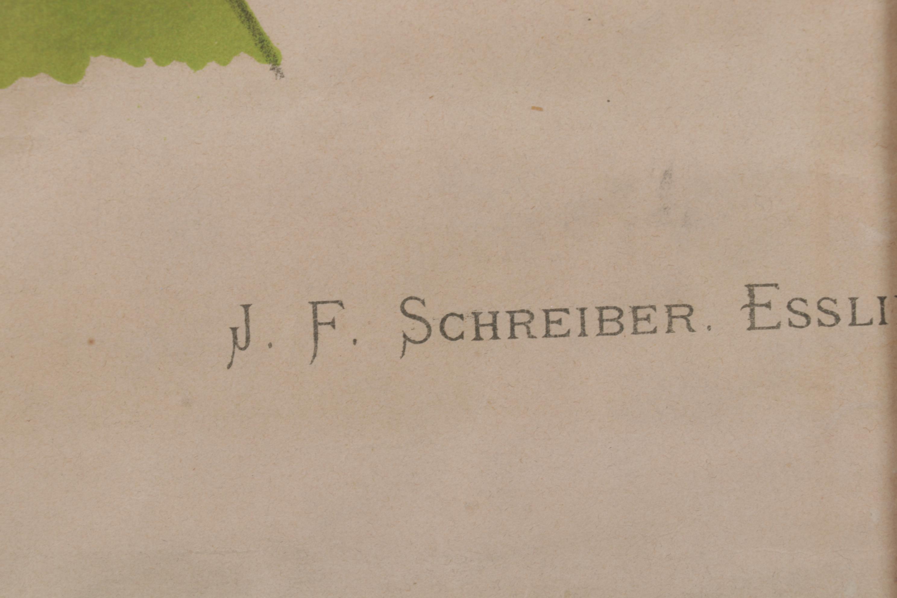 Arnold Dodel-Port Color Lithograph "Drosera rotundifolia," Circa 1888