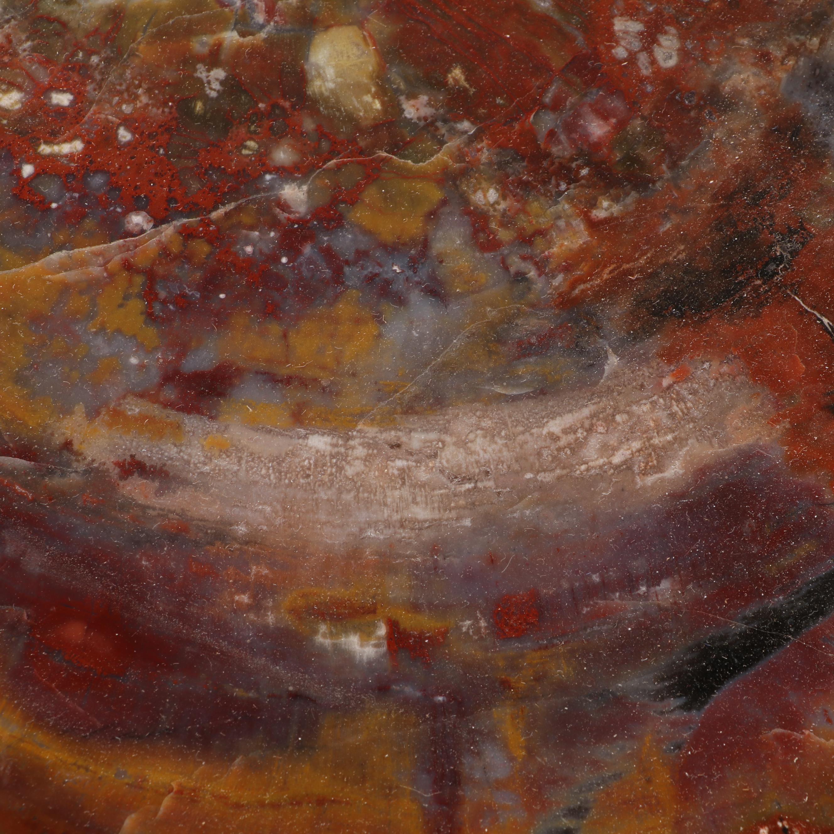 Agatized Petrified Wood Slab