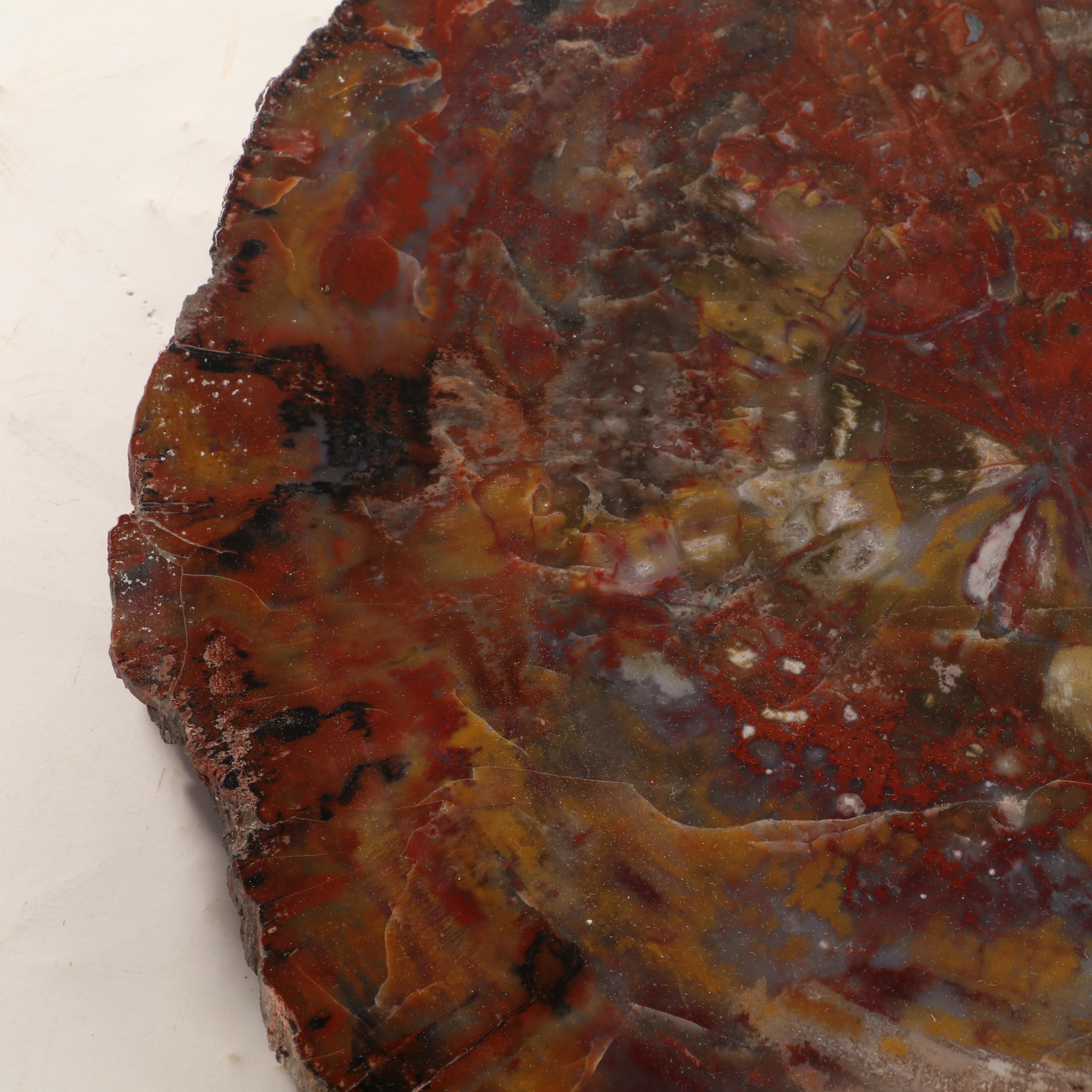 Agatized Petrified Wood Slab