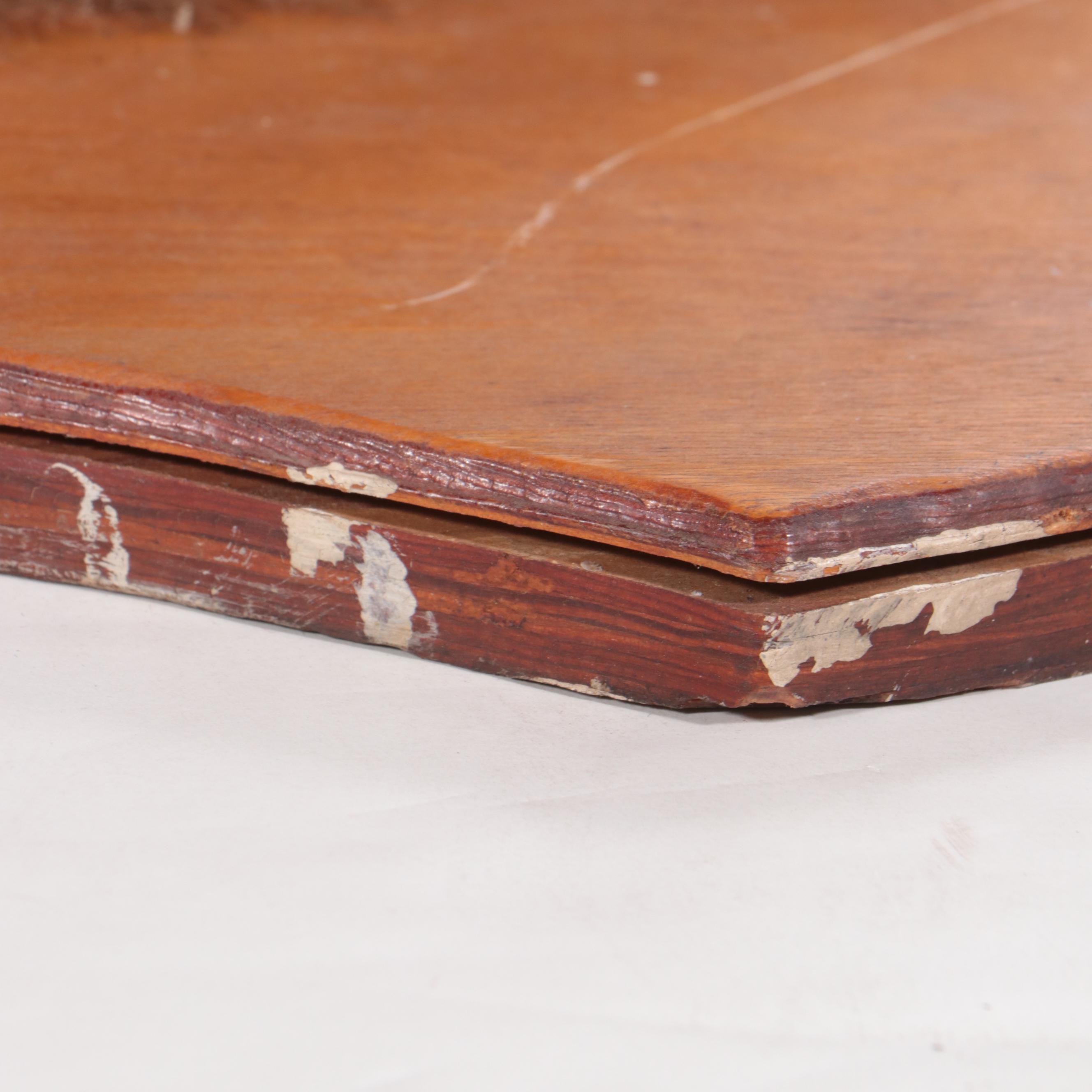 Taxidermy Bison Shoulder Mount