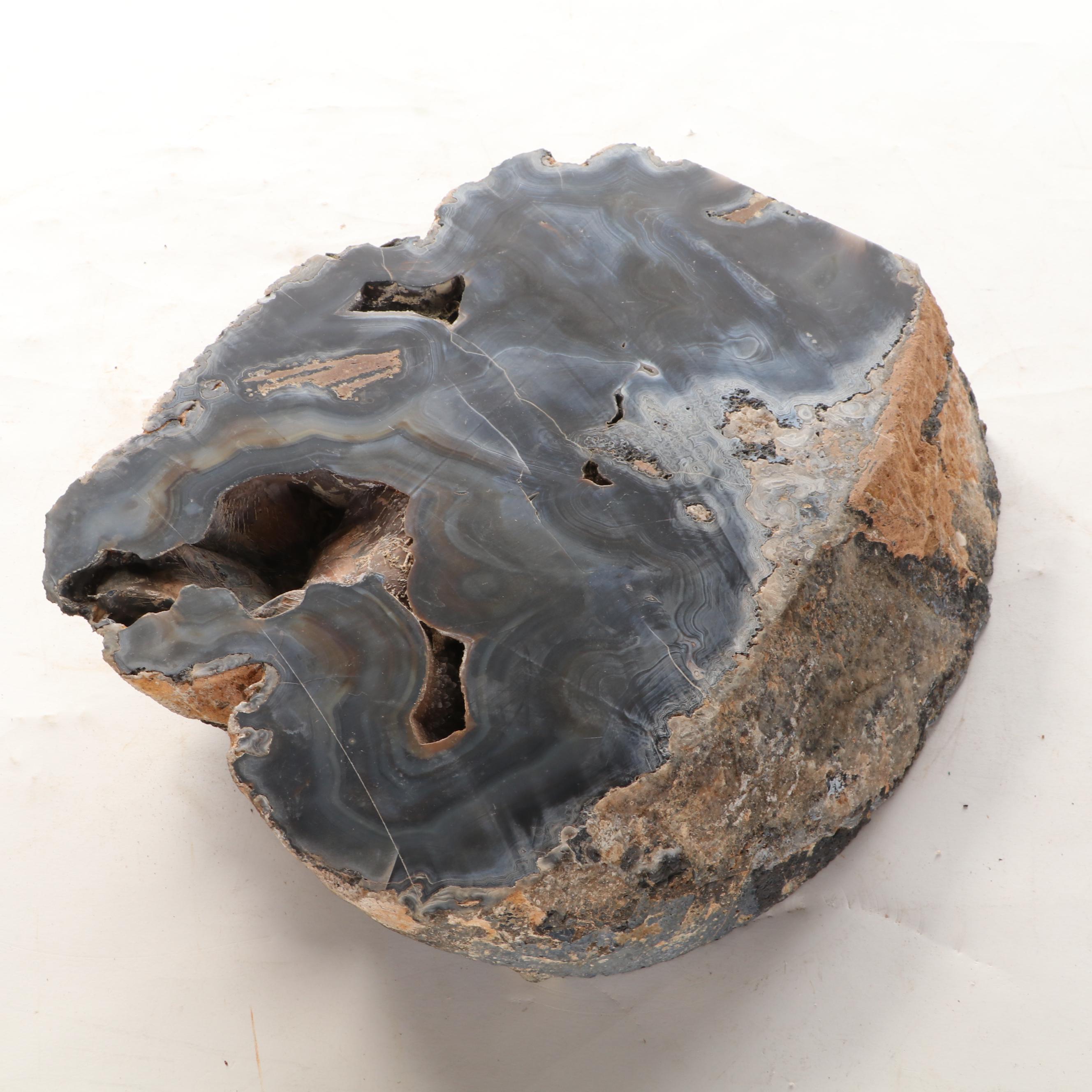 Banded Black Agate Geode Specimen