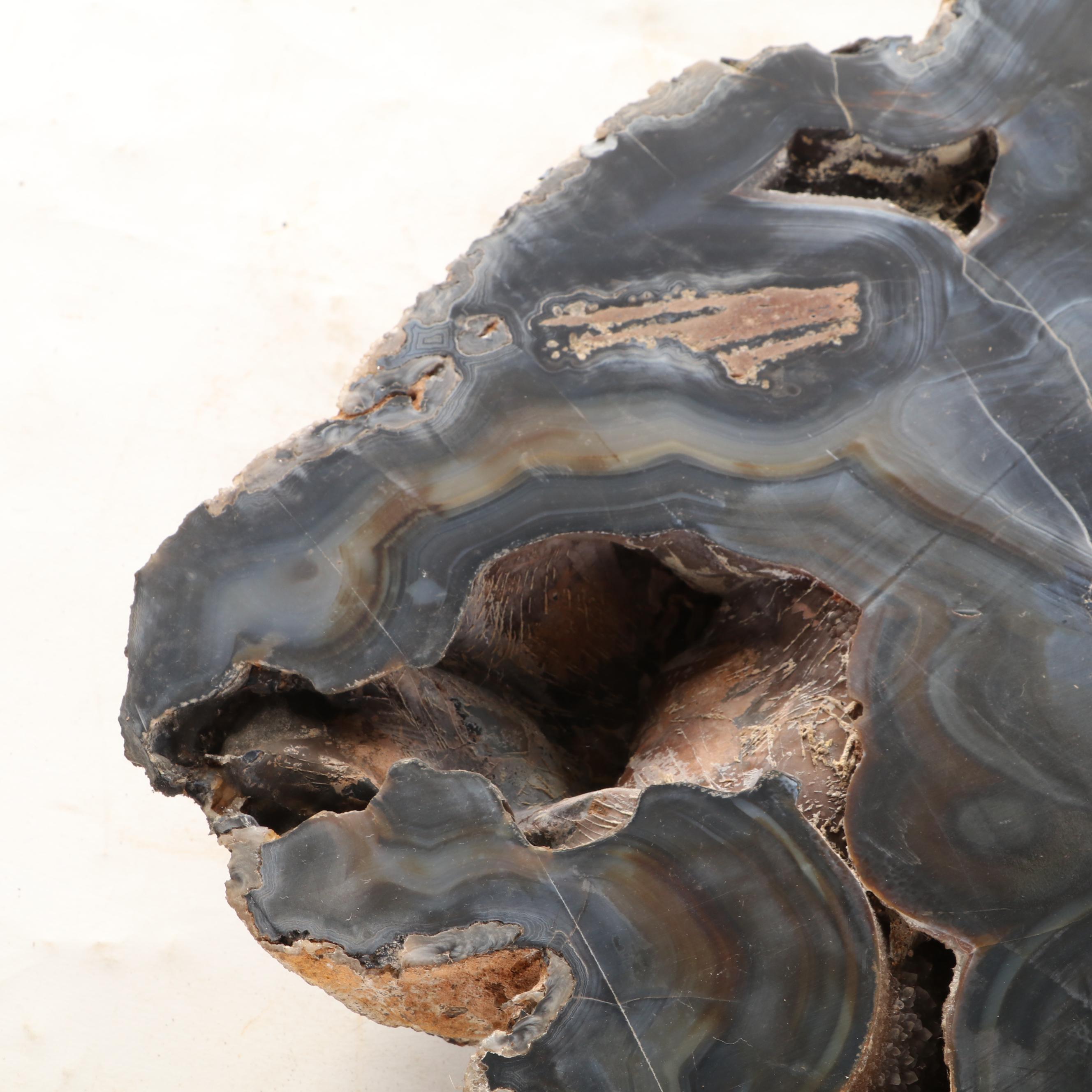 Banded Black Agate Geode Specimen