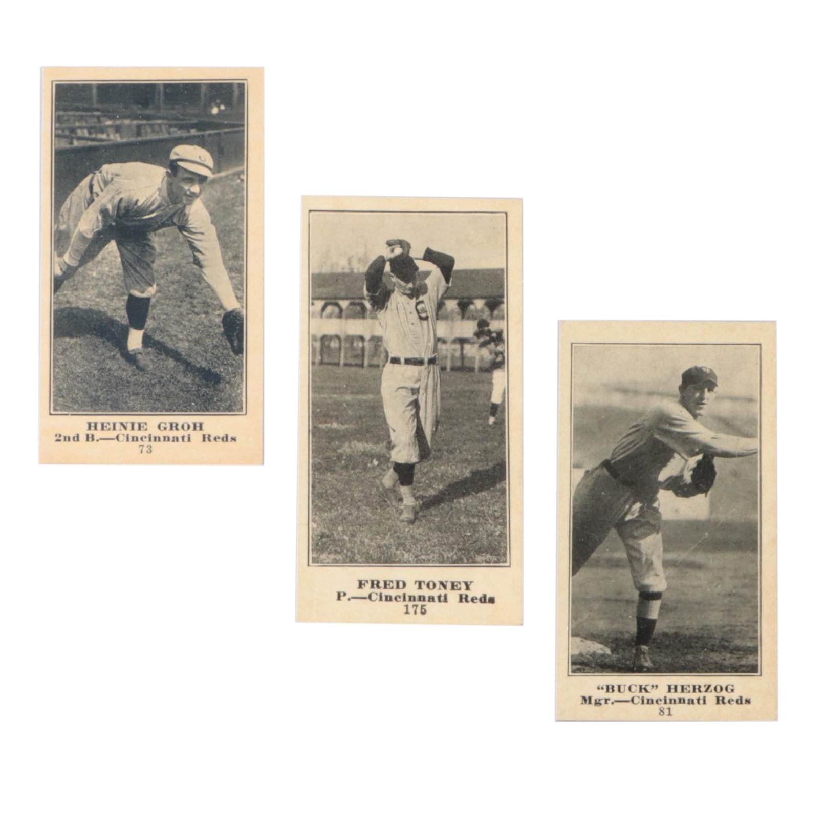 1915–1916 M101 Sporting Life Baseball Cards with Fred Toney Graded PSA 8