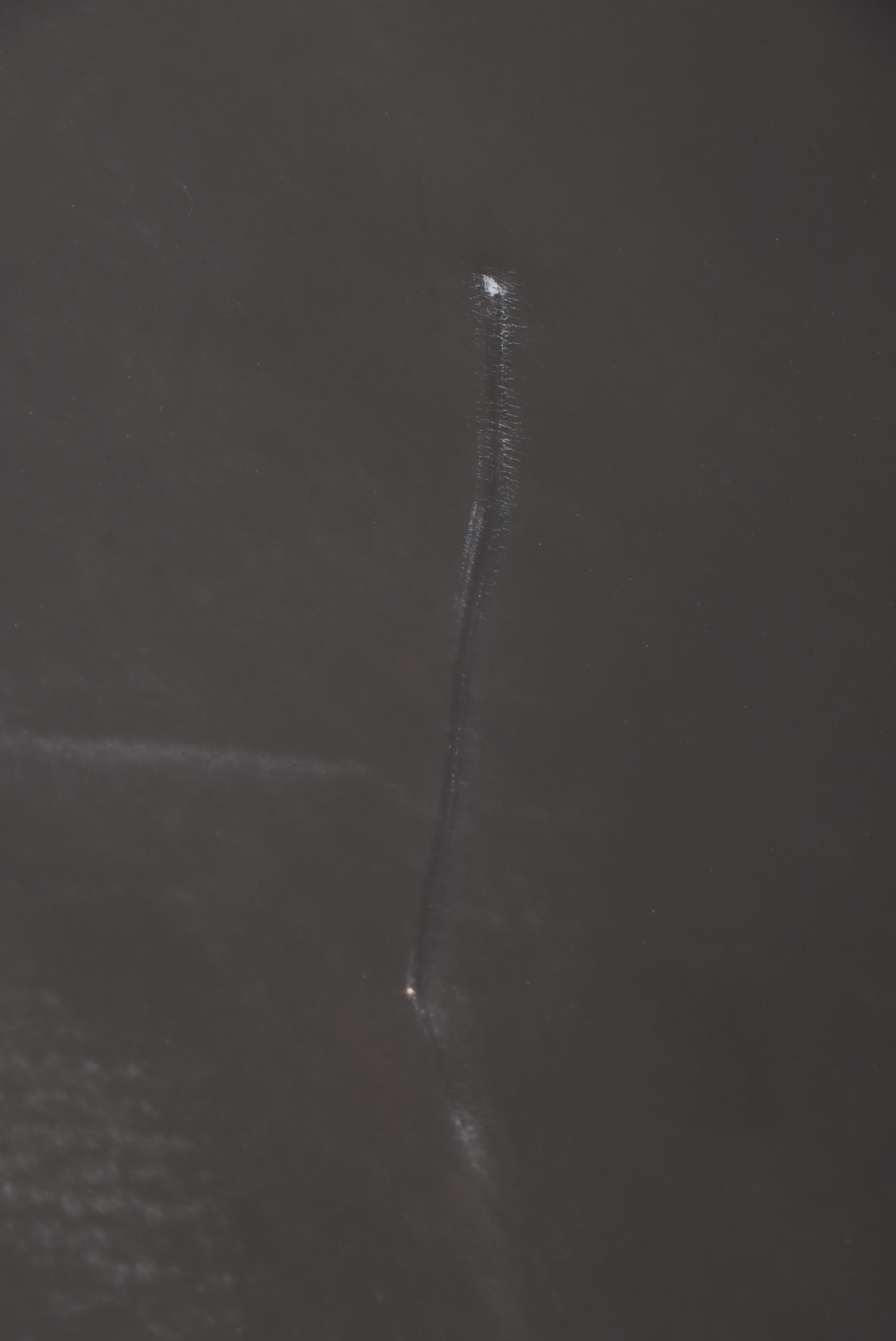 Federal Style Ebonized Wood and Black Leather Wingback Armchair with Nailheads