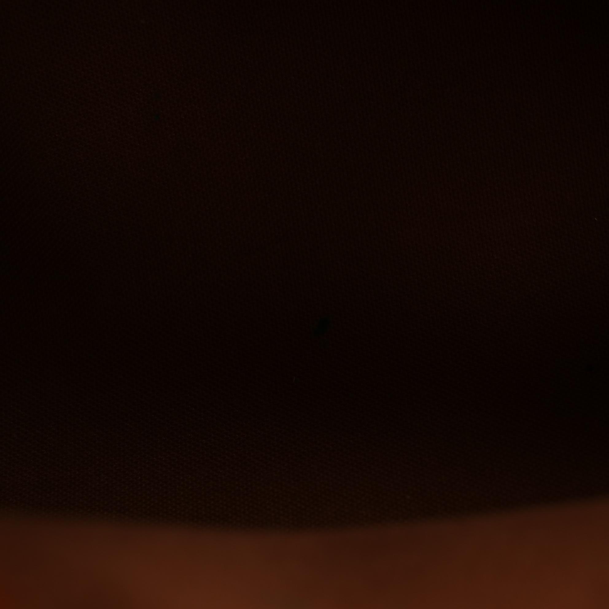 Louis Vuitton Speedy 30 in Monogram Canvas and Vachetta Leather