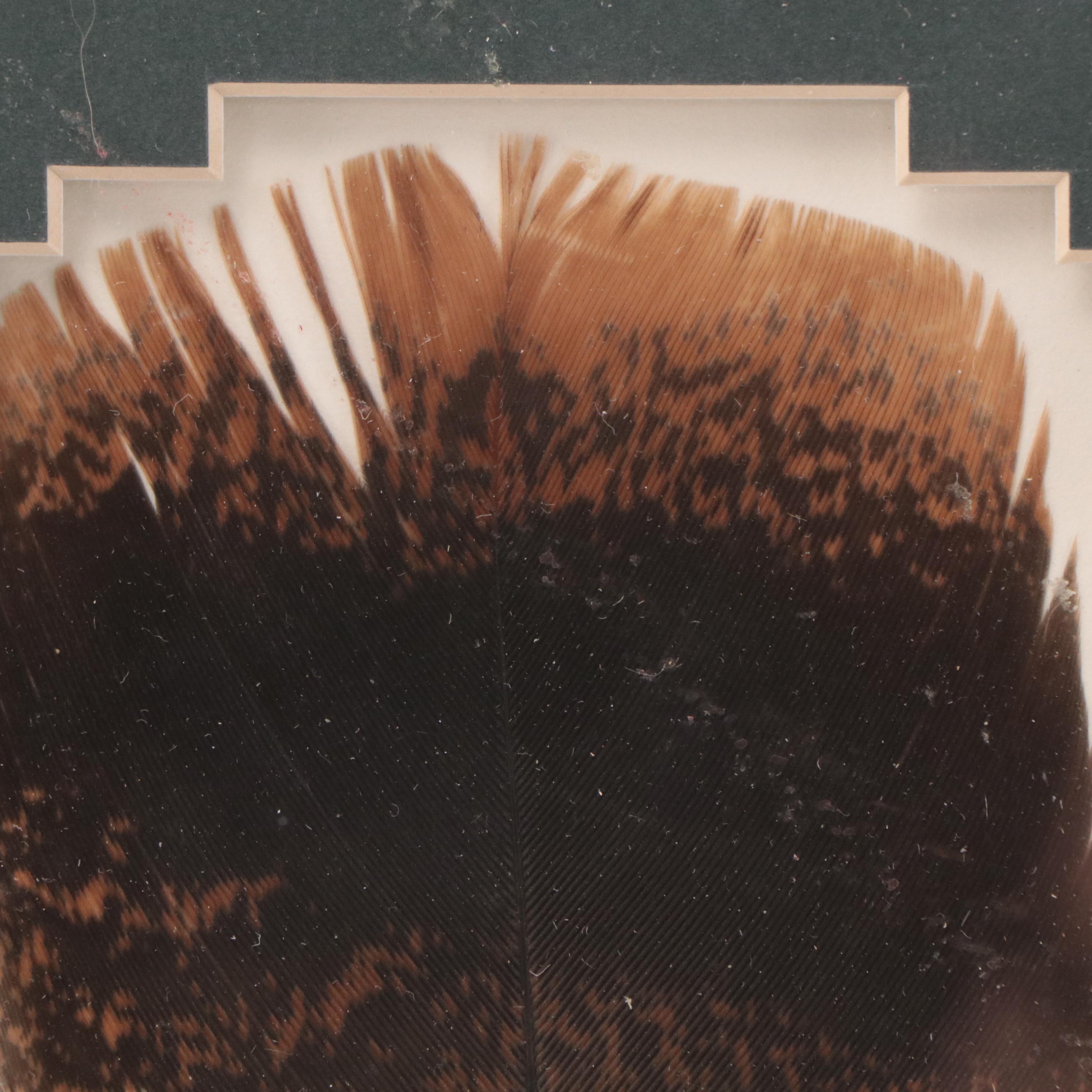 Sue Perry Rufus Acrylic Painting of Owl on Feather, 2000