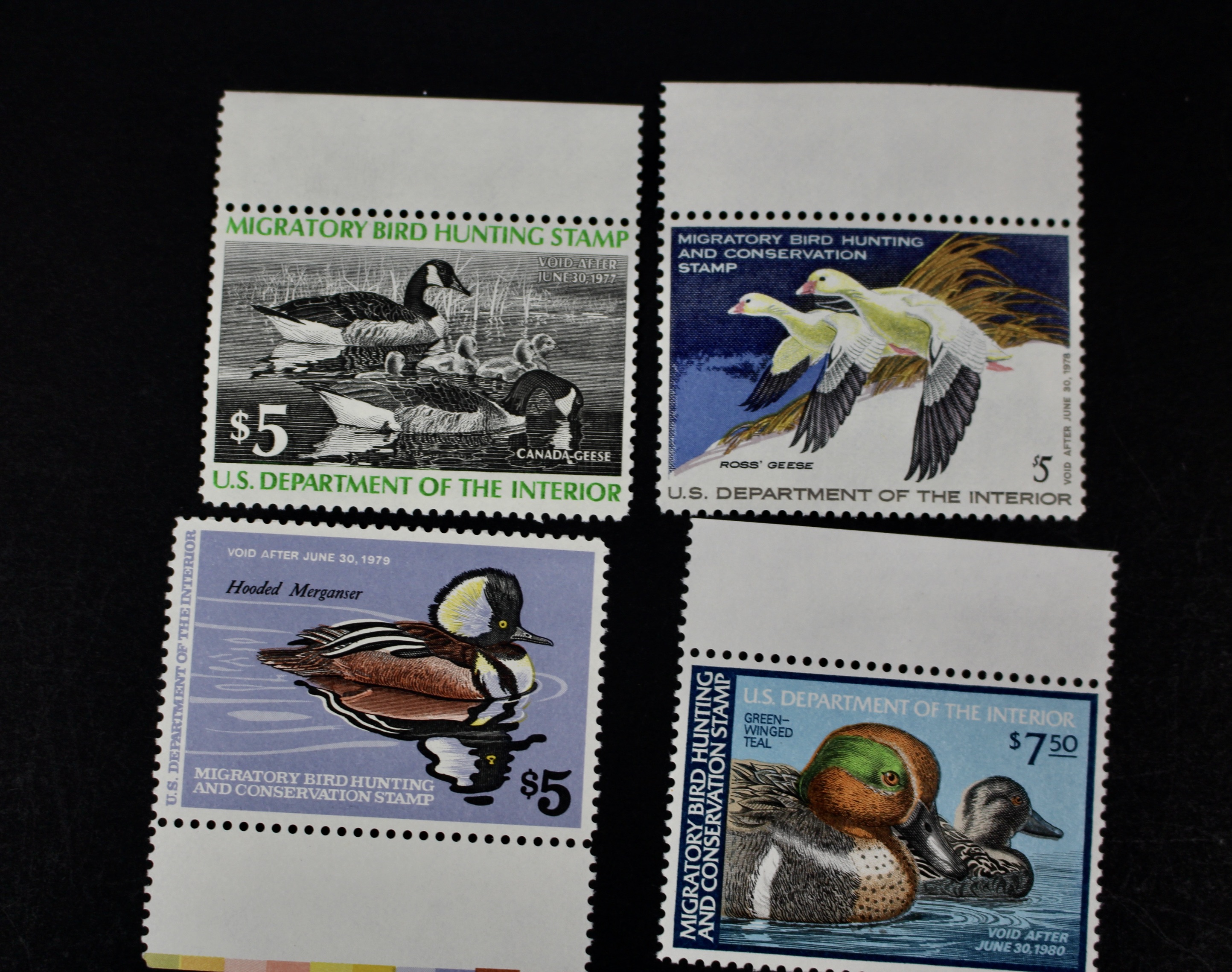 Thirteen Different U.S. Mint Never Hinged Duck Stamps