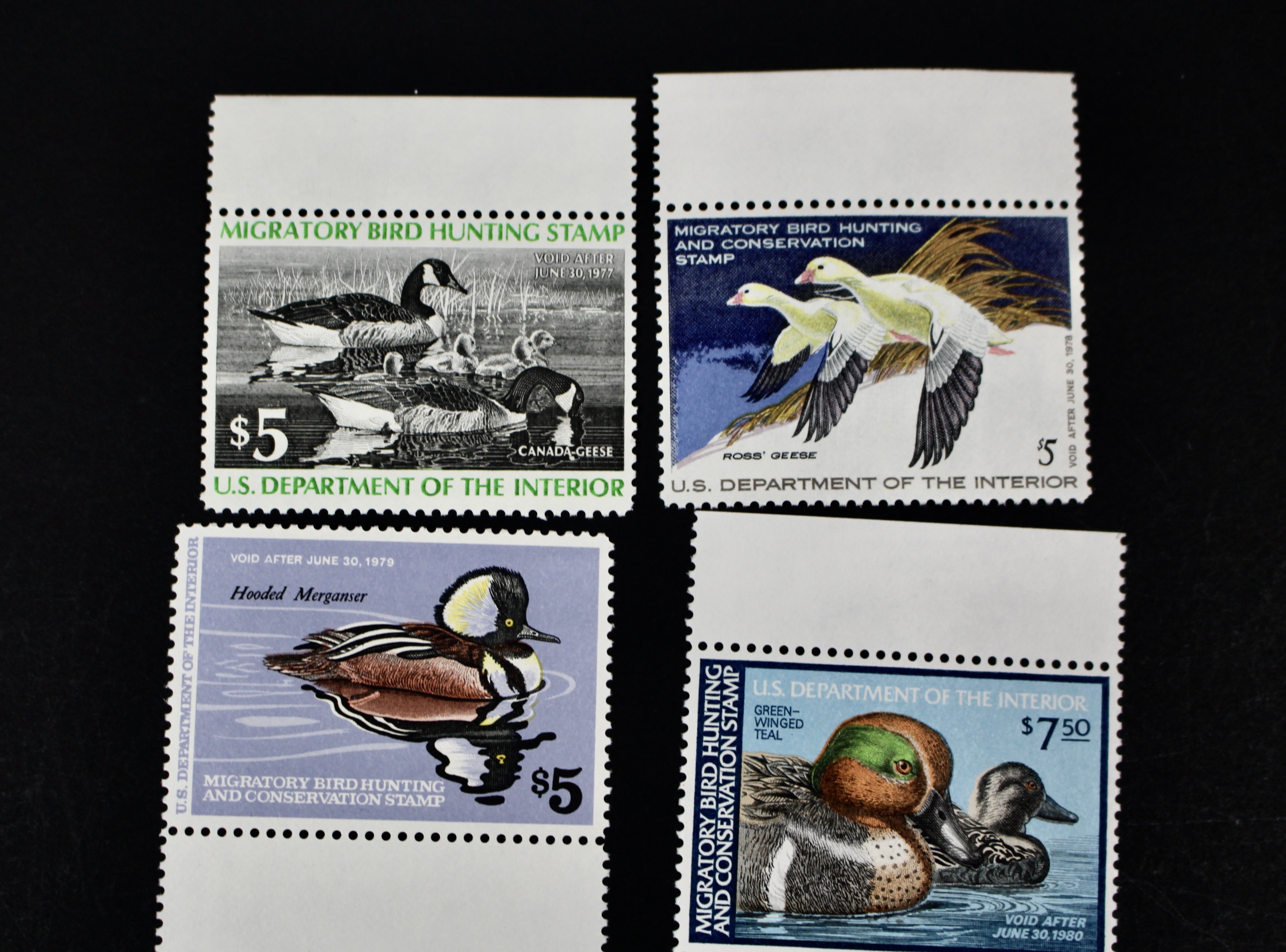 Thirteen Different U.S. Mint Never Hinged Duck Stamps