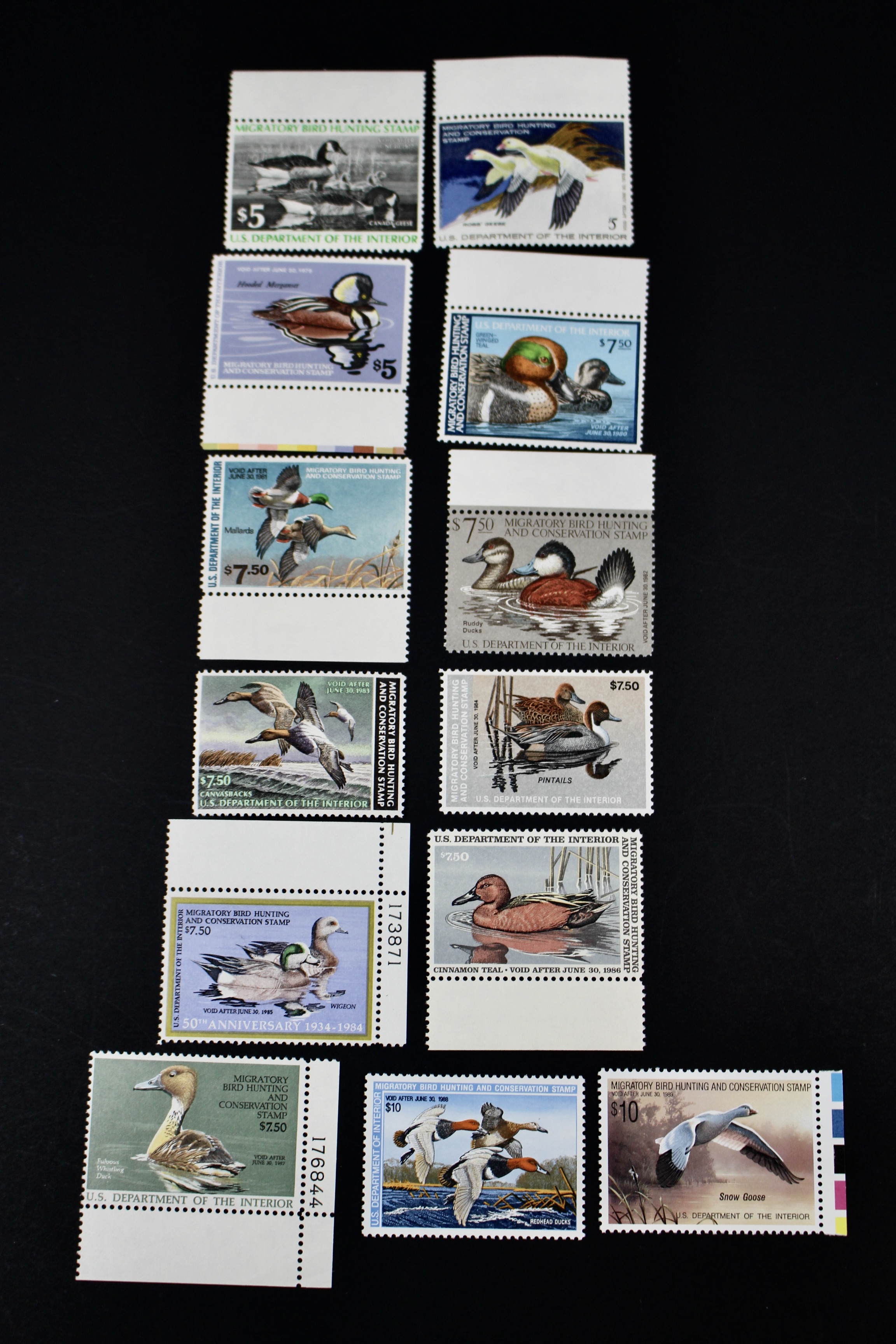 Thirteen Different U.S. Mint Never Hinged Duck Stamps