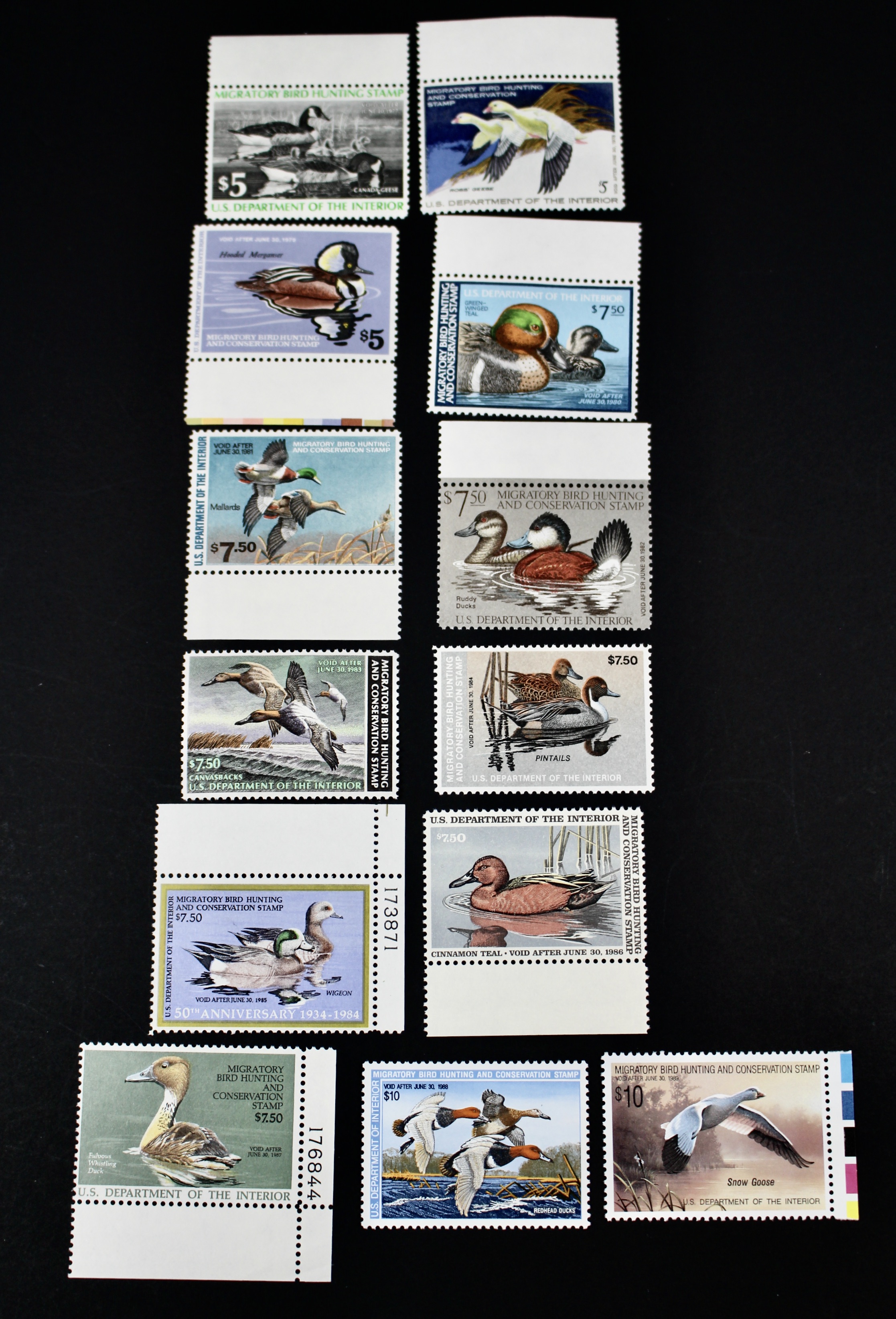 Thirteen Different U.S. Mint Never Hinged Duck Stamps