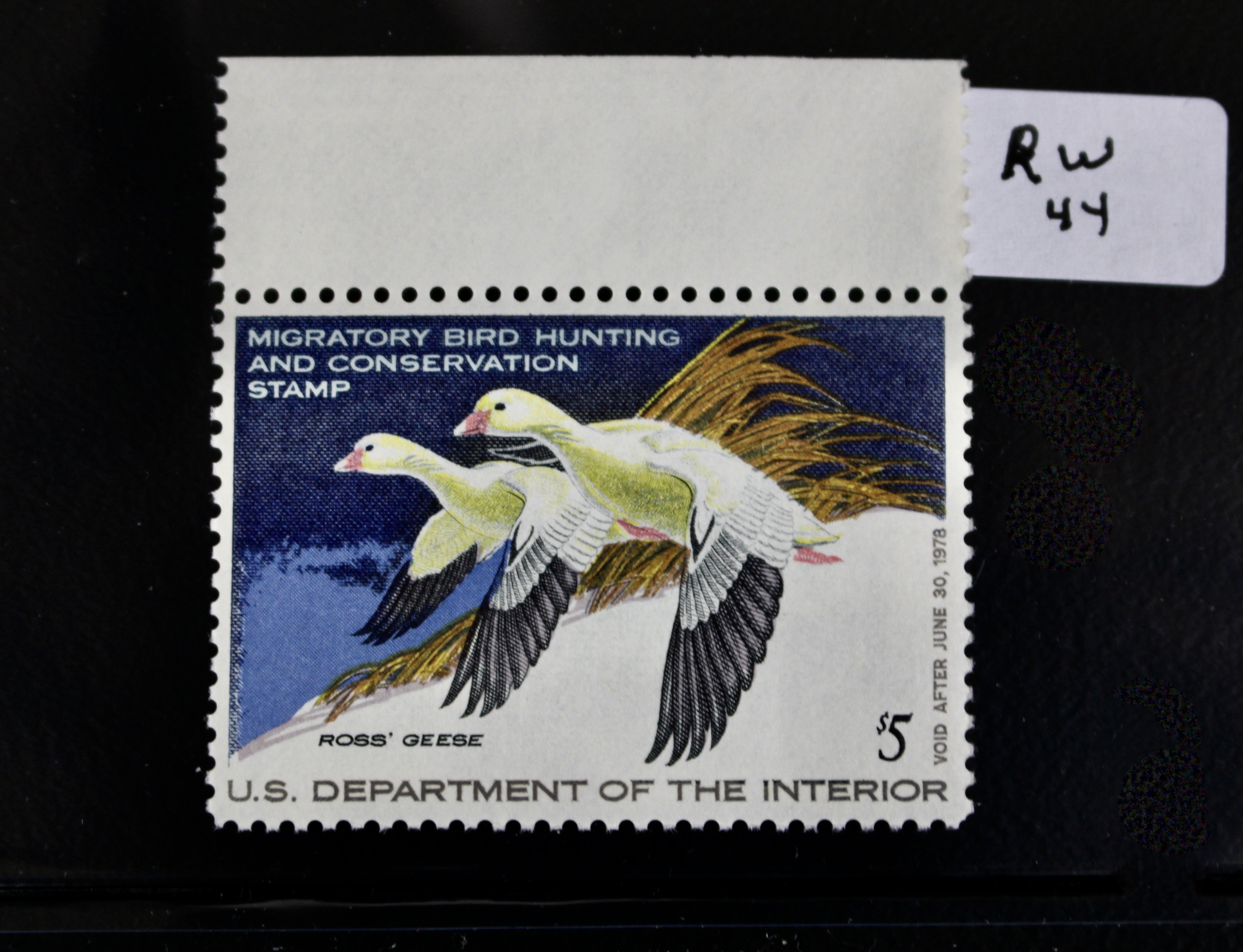 Thirteen Different U.S. Mint Never Hinged Duck Stamps