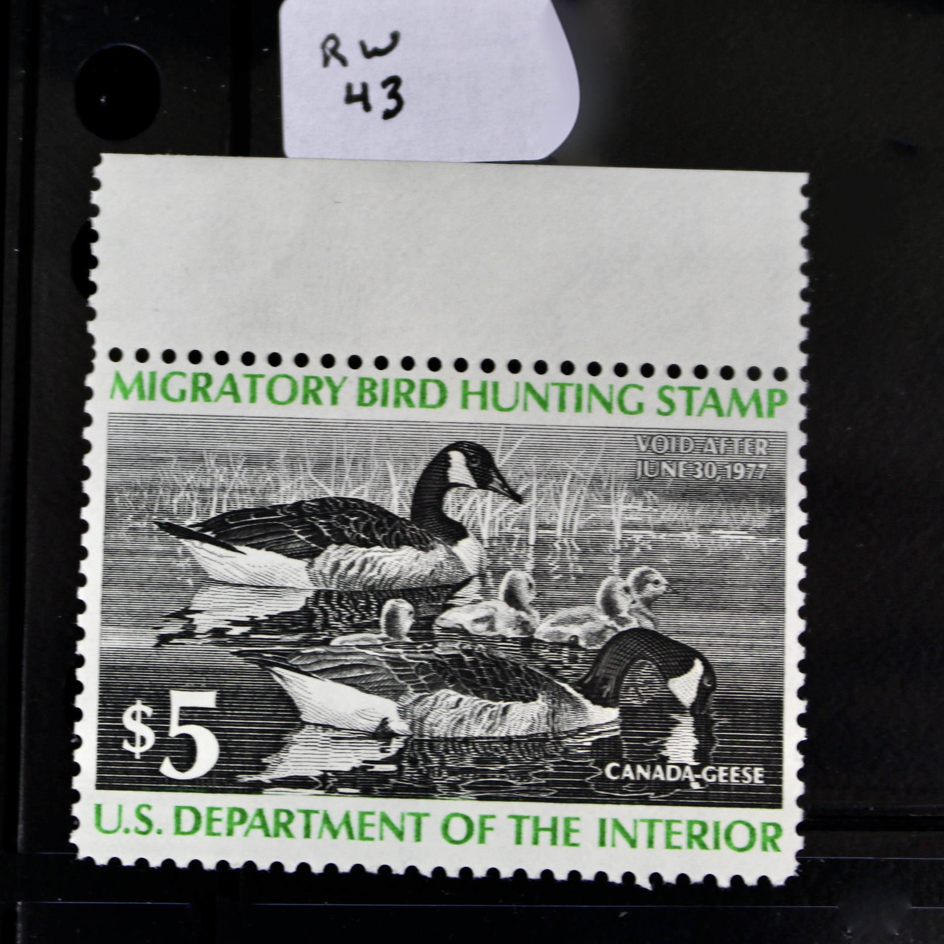 Thirteen Different U.S. Mint Never Hinged Duck Stamps