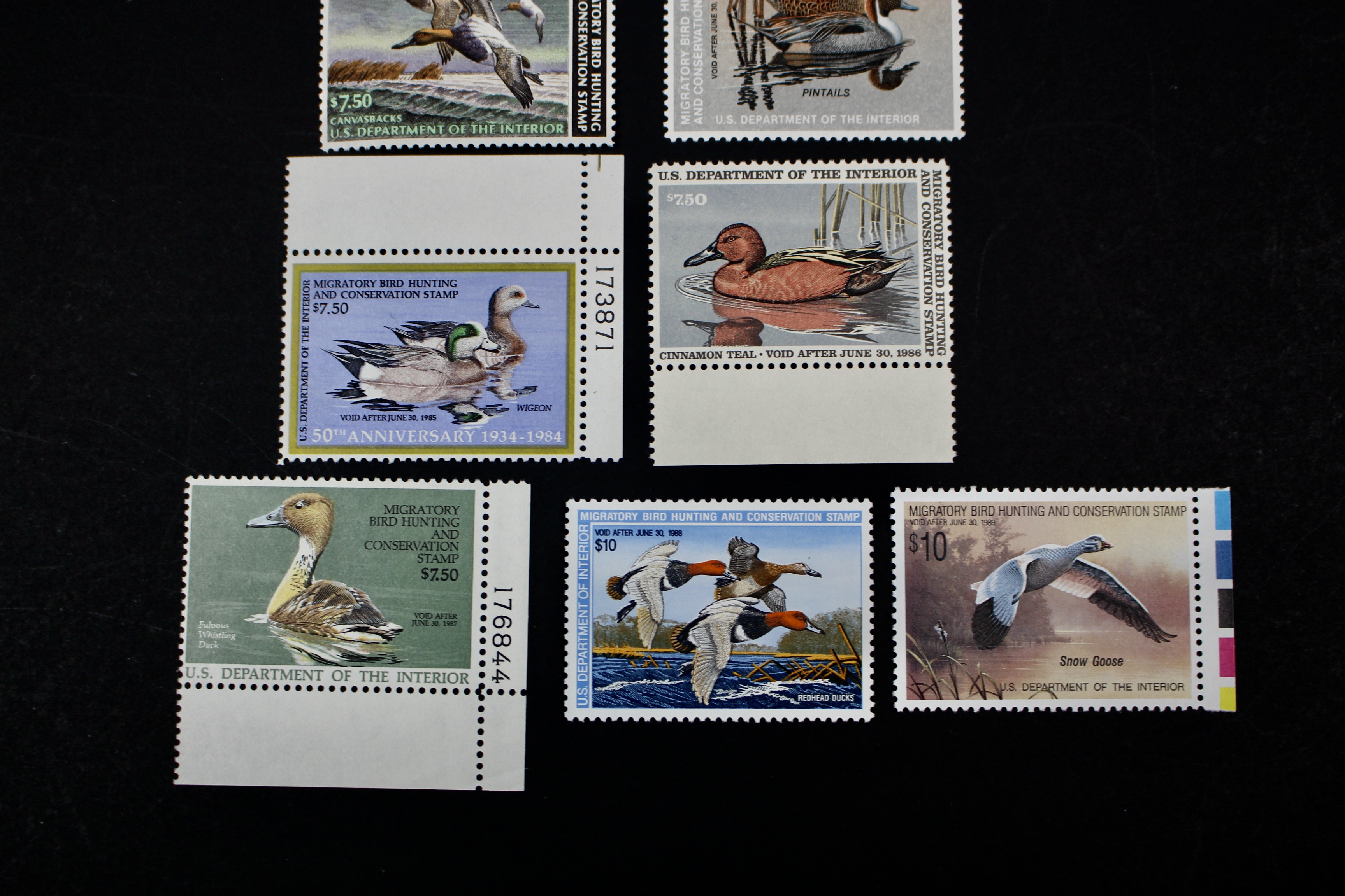 Thirteen Different U.S. Mint Never Hinged Duck Stamps