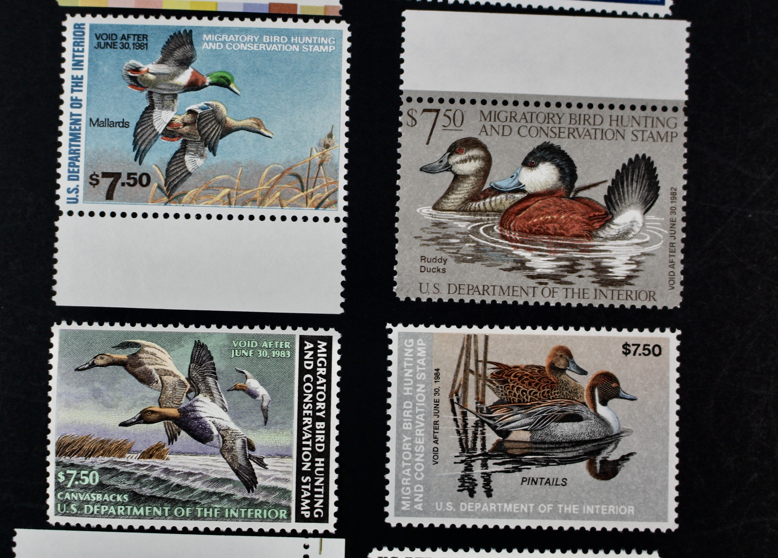 Thirteen Different U.S. Mint Never Hinged Duck Stamps