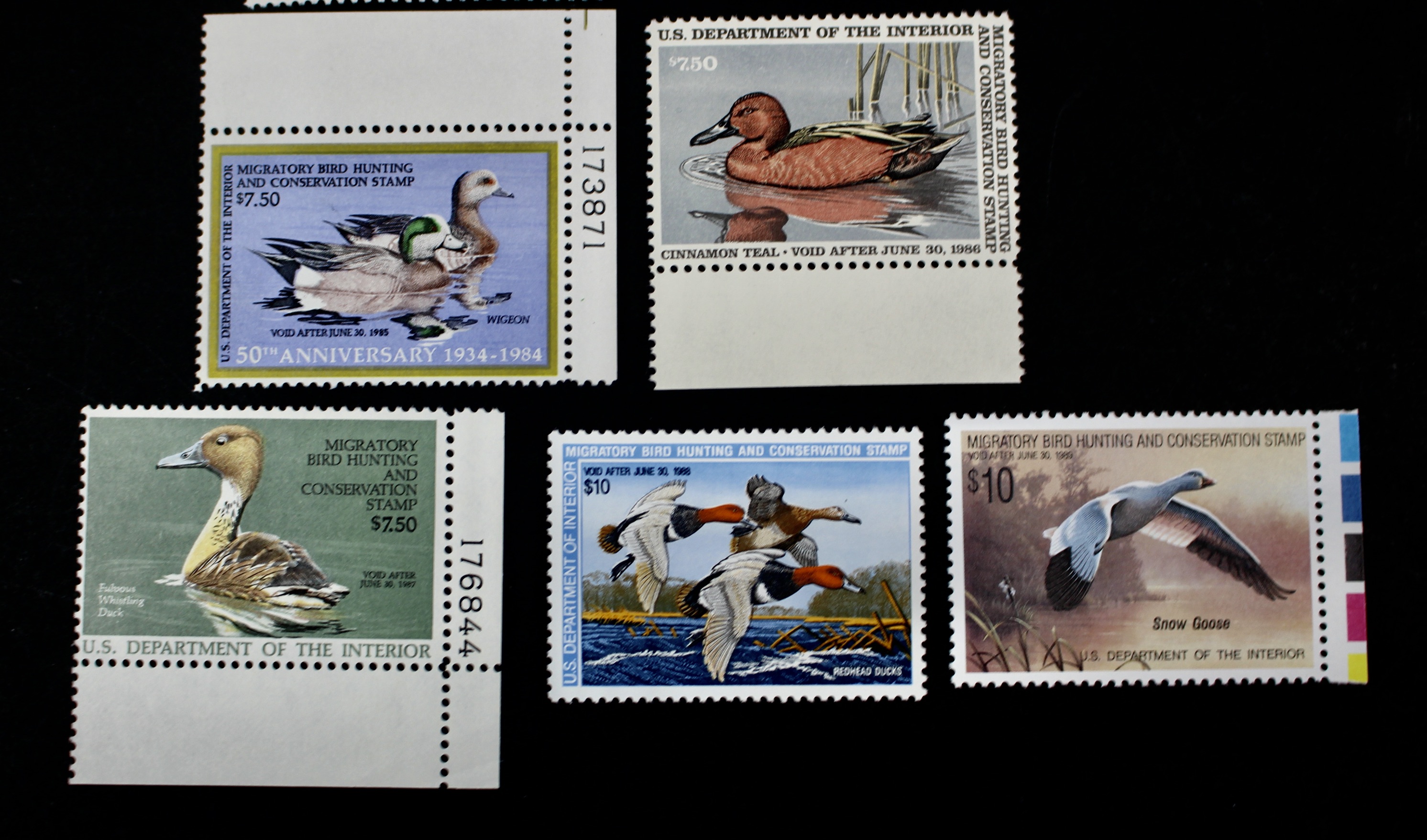 Thirteen Different U.S. Mint Never Hinged Duck Stamps