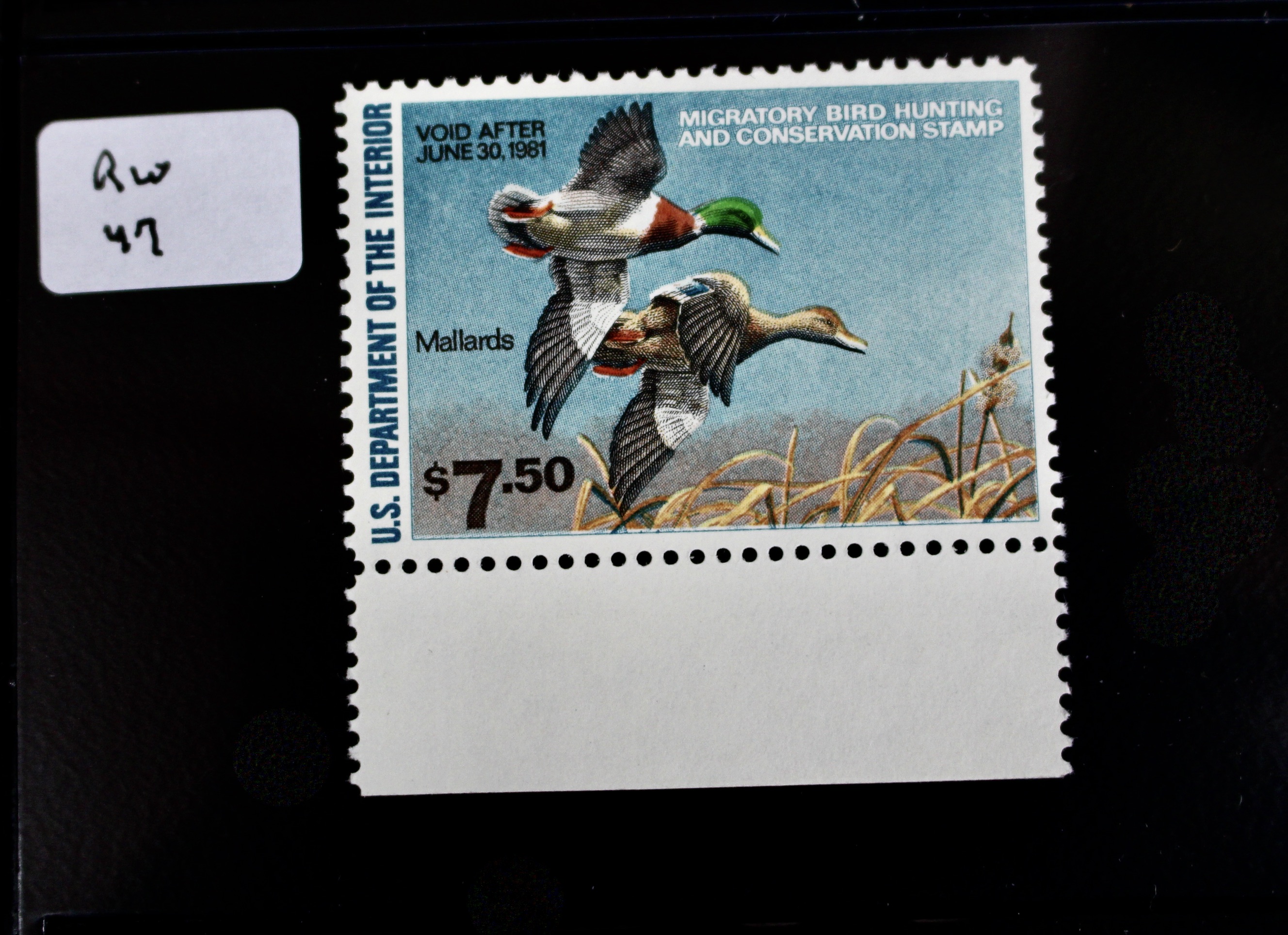 Thirteen Different U.S. Mint Never Hinged Duck Stamps