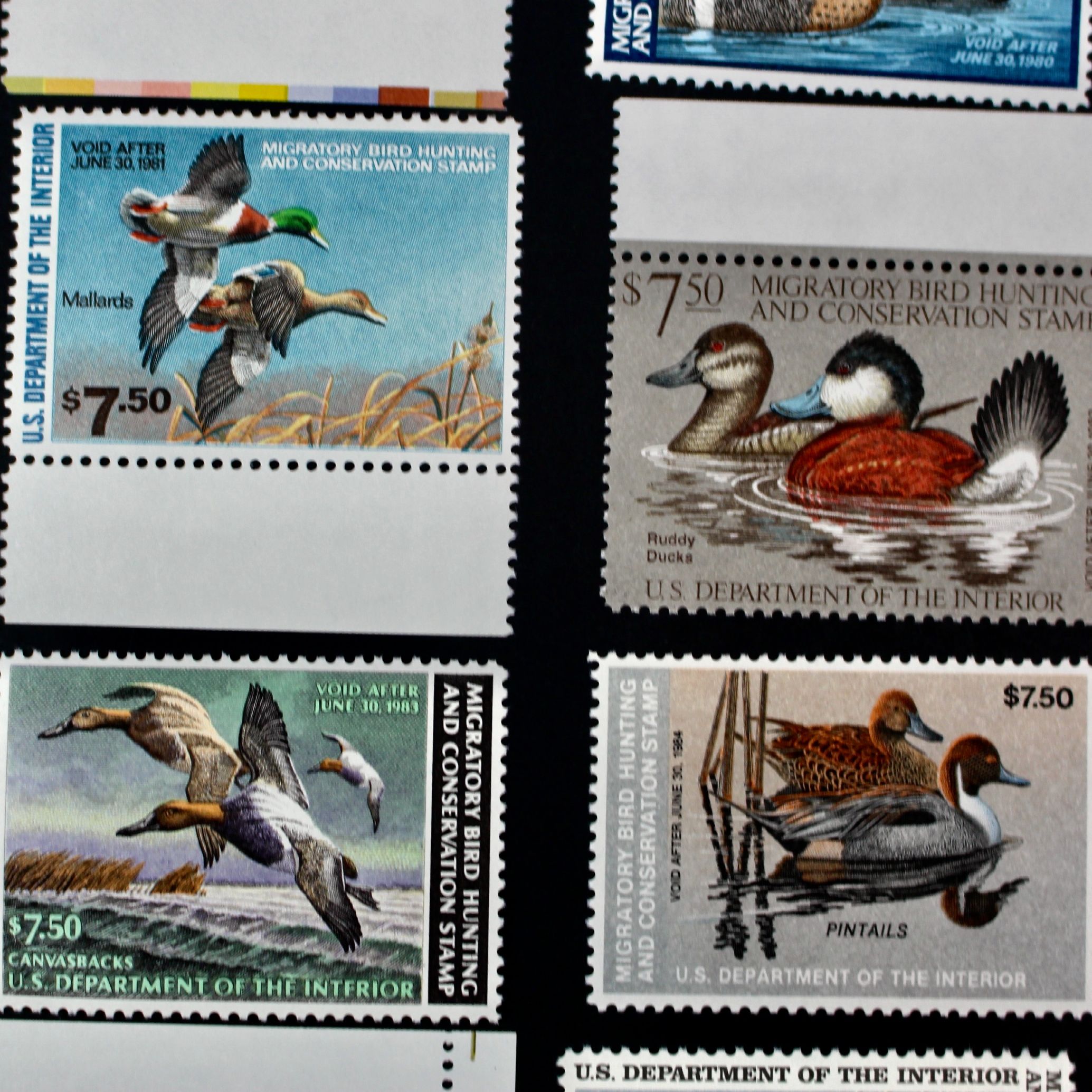 Thirteen Different U.S. Mint Never Hinged Duck Stamps