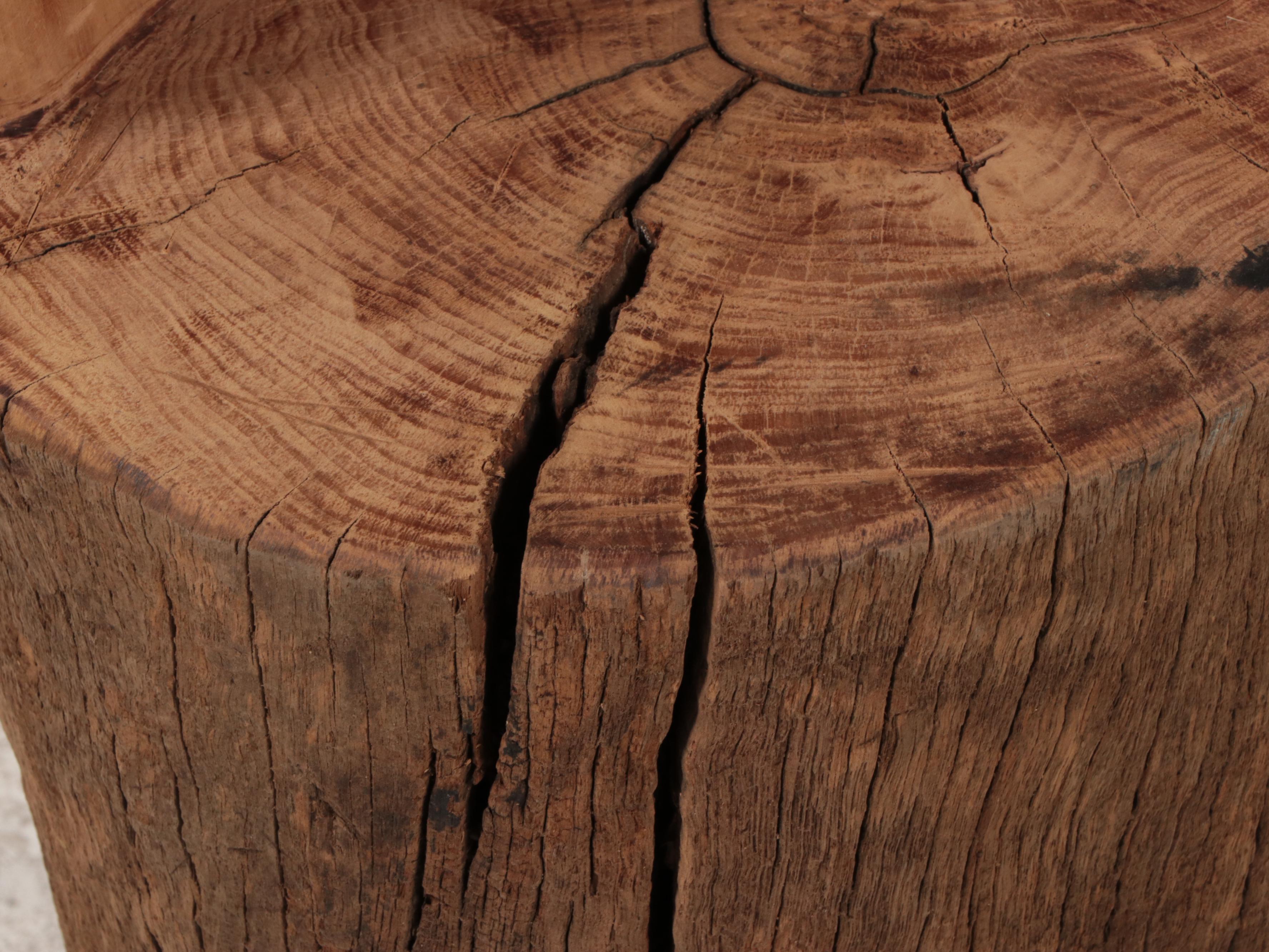 Hinggan (China) Carved Log Chair