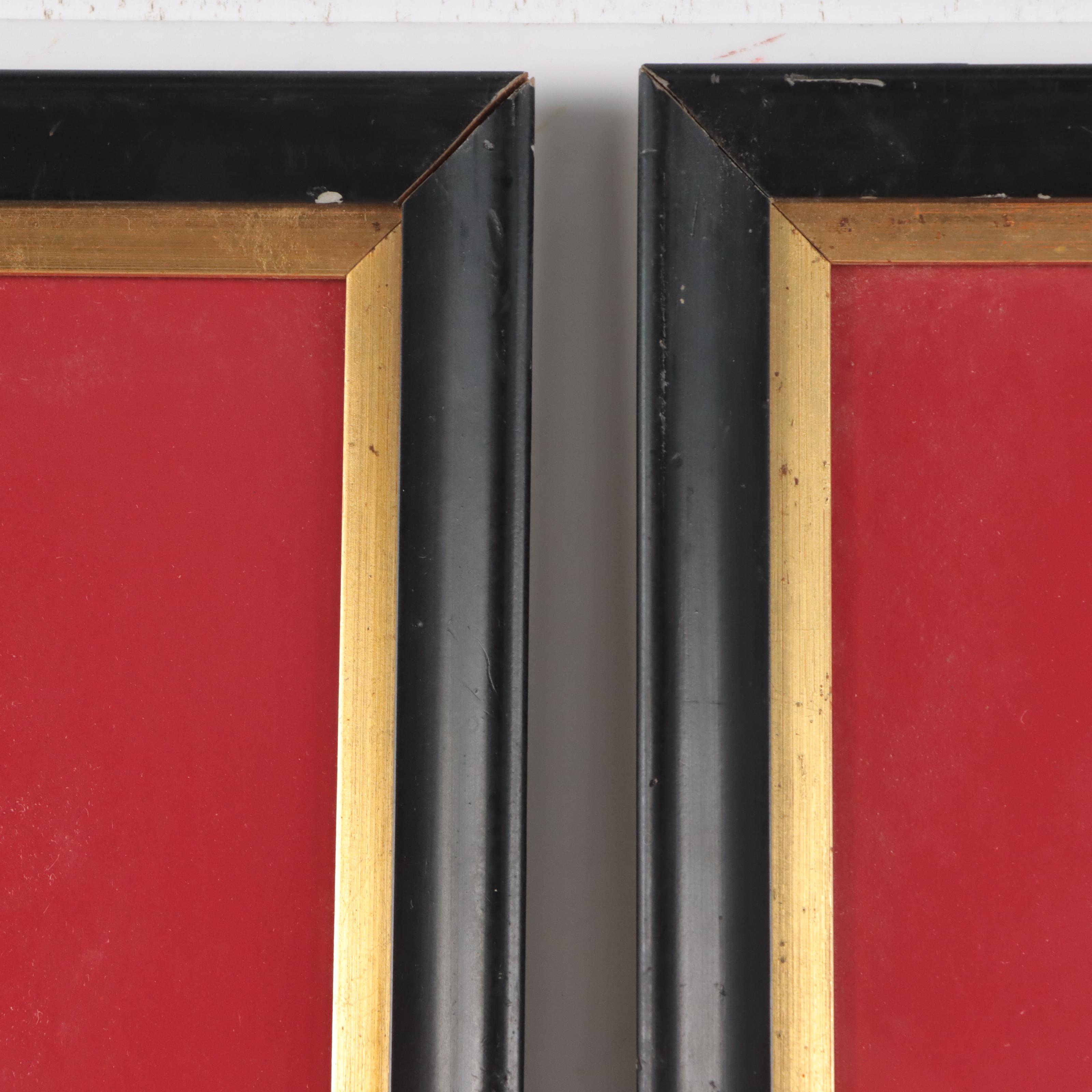 Halftones After John James Audubon Including "Baltimore Oriole"