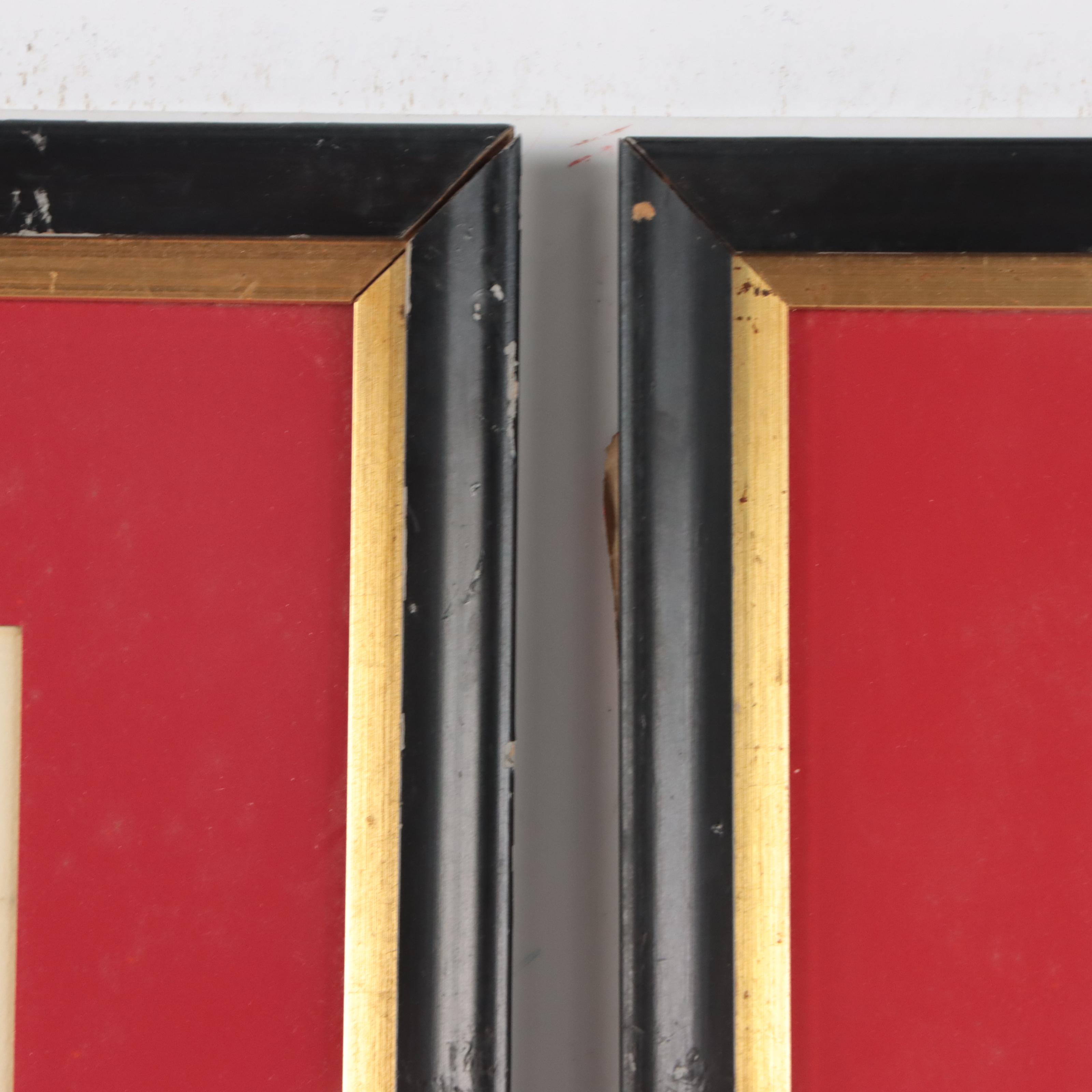 Halftones After John James Audubon Including "Baltimore Oriole"