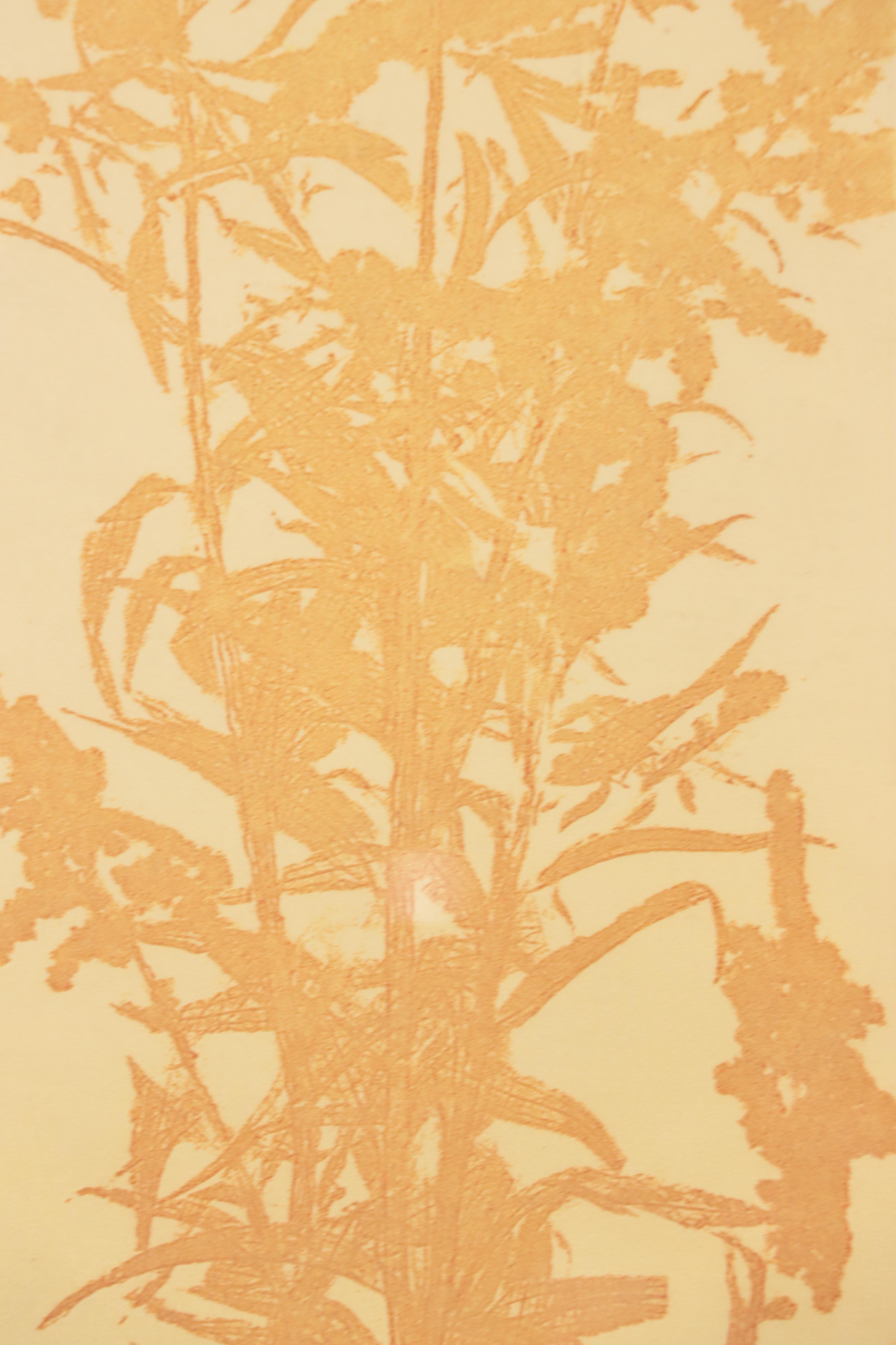 Soft Ground Etchings Including "Mist In The Morning," 1980